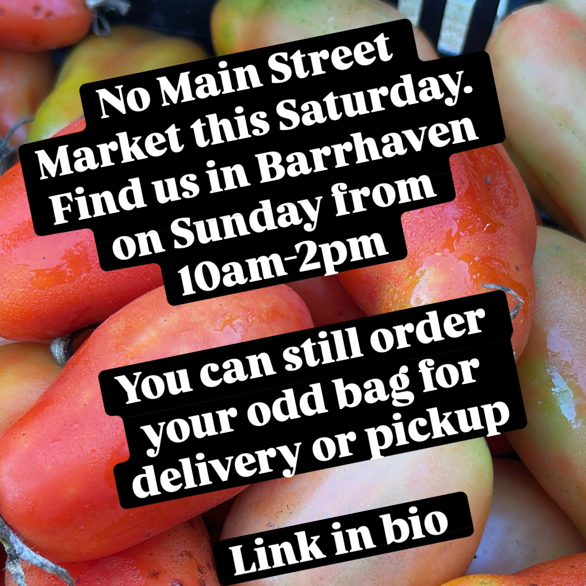 We’ll catch you on Sunday in Barrhaven from 10am-2pm.
We know some folks wait to see what goodness we bring from week to week. Thank you for supporting us through the learning curves as we focus on consistency, quality and variety.
If you can’t come see us, purchase an off bag from the website and we’ll delivery to you on Sunday afternoon.