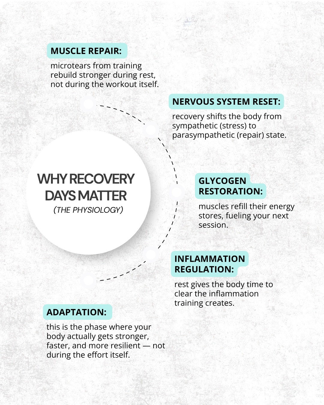 Rest days aren't the days you're doing nothing. They're the days your body is doing its most important work.
ㅤ
Adaptation — getting stronger, healing, changing — doesn't happen during the workout. It happens during recovery, when your nervous system finally has the bandwidth to repair and integrate everything you just asked your body to do.
ㅤ
Skip recovery, and you're not training harder. You're just adding stress on top of stress without ever giving your body the chance to catch up.
ㅤ
This applies to your workouts, and it applies to life. Recovery isn't the pause between progress. It IS the progress.
ㅤ
#recoveryisntoptional #nervoussystemhealth #restdays #tulsachiropractor #freespiritchiropractic #adaptation #trainsmart