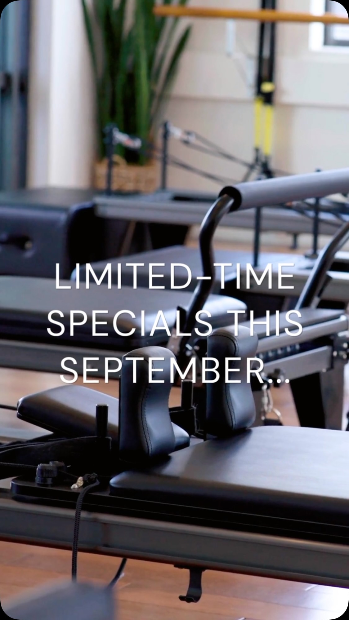 Spring Fever has arrived at Studio Three.... Have you checked out our Spring offers yet?
To celebrate the new season, weβve got two limited-time specials to put a little spring back into your Pilates practice - whether youβre ready to explore more of the Pilates system or simply want to commit to more regular Reformer sessions.
PLUS join a membership in September & receive a complimentary Private Session to get you going with a personalised goal setting plan!
