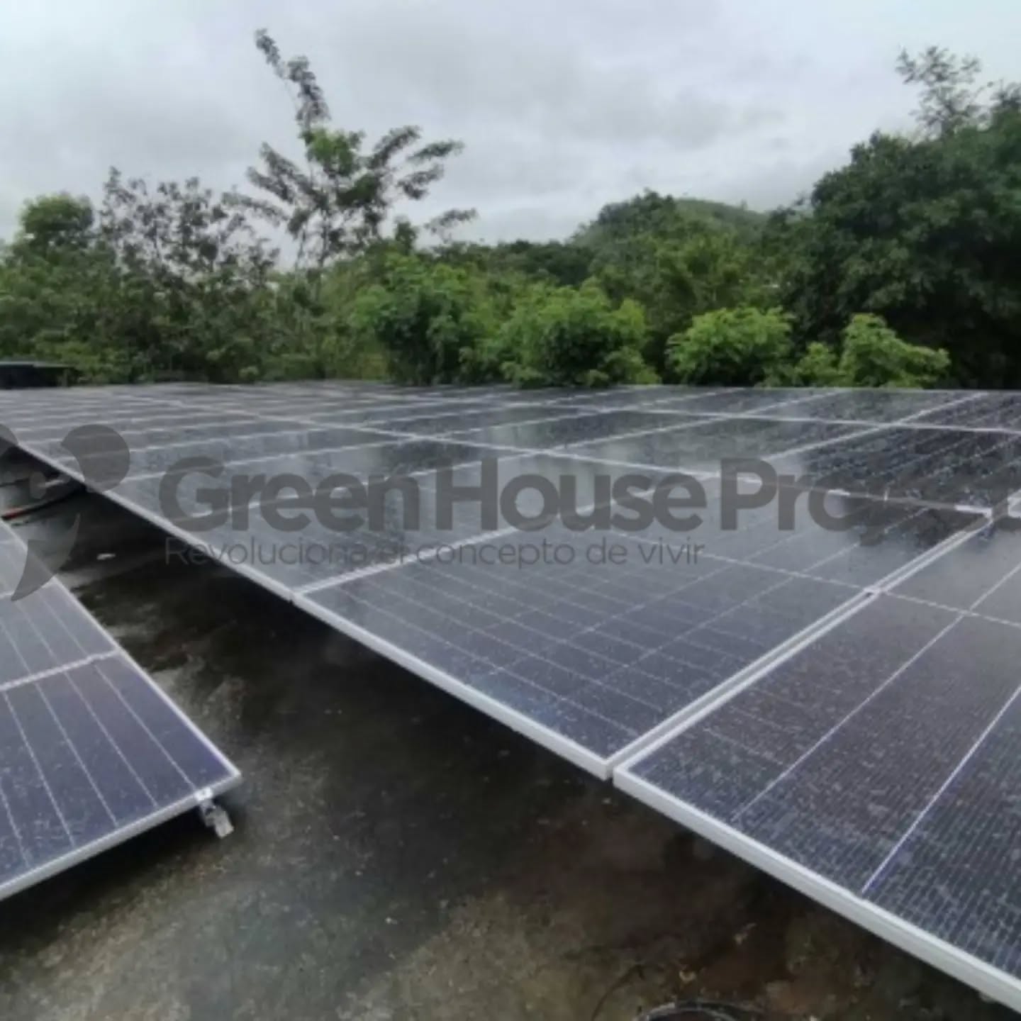 ⛽☀️ Mientras tu negocio trabaja, el sol también puede trabajar para ti.
Esta estación de servicio dio el paso hacia una energía más eficiente con Green House Project. 💚⚡
Diseñamos soluciones solares para estaciones de servicio, comercios, industrias y empresas que buscan reducir sus costos de energía y aprovechar su infraestructura para generar su propia electricidad.
☀️ Energía solar para tu empresa
⚡ Soluciones diseñadas según tu consumo
🛠️ Instalación profesional
🇨🇴 Proyectos a nivel nacional
¿Cuánto está pagando tu empresa en energía cada mes?
📲 Envíanos tu factura y te mostramos cuánto podrías ahorrar.
Green House Project®
Revoluciona el concepto de vivir.
#GreenHouseProject #EnergiaSolar #EstacionesDeServicio #PanelesSolares #AhorroEnergetico EnergiaParaEmpresas Colombia