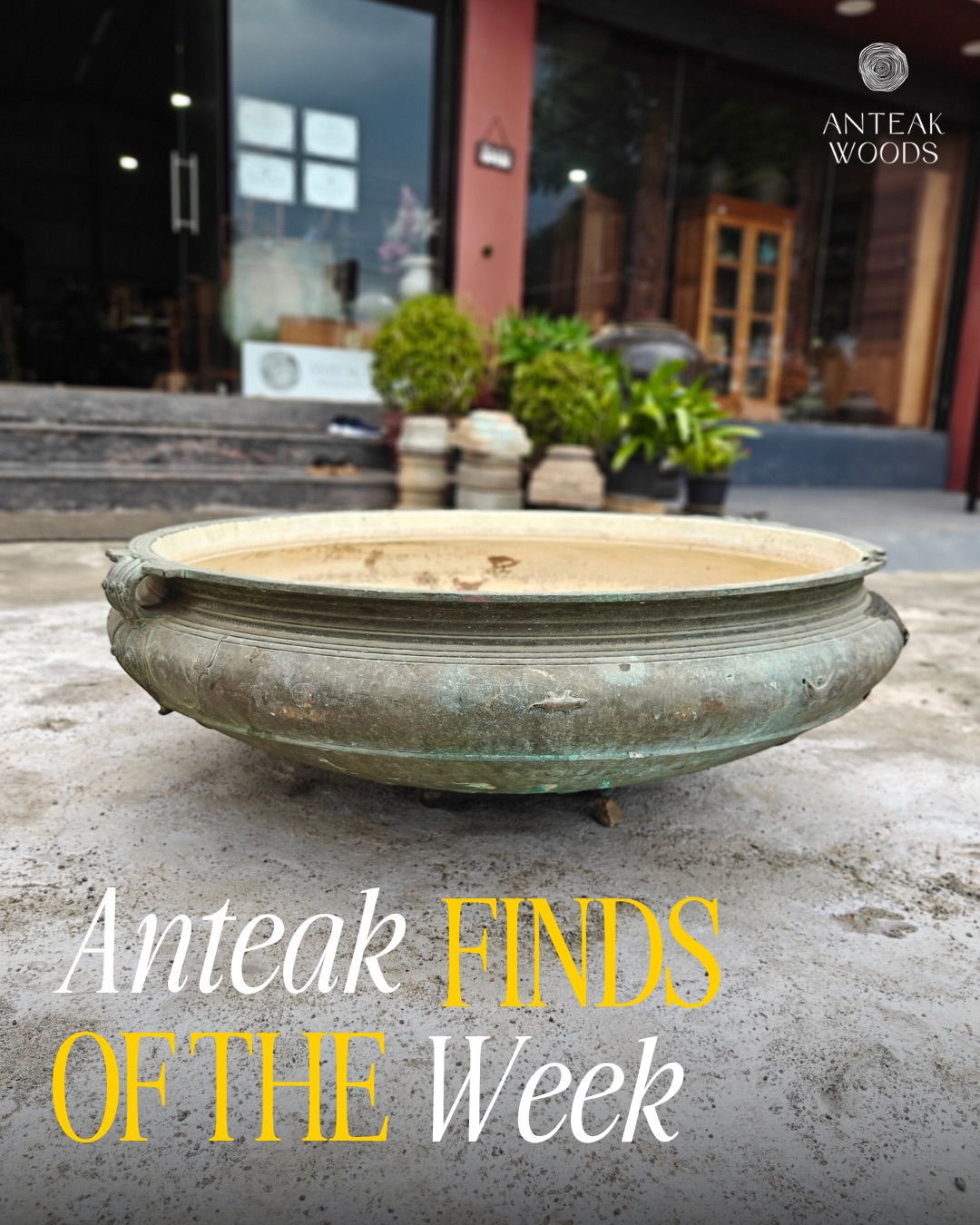 This week’s Anteak Find. 🤎
Our Antique South Indian Brass Urli is a beautiful example of craftsmanship that has stood the test of time. From its aged patina to the intricate detailing along its rim, every mark and imperfection adds to its character.
#AnteakWoods #AnteakFinds #AntiqueUrli #BrassUrli #southindianantiques