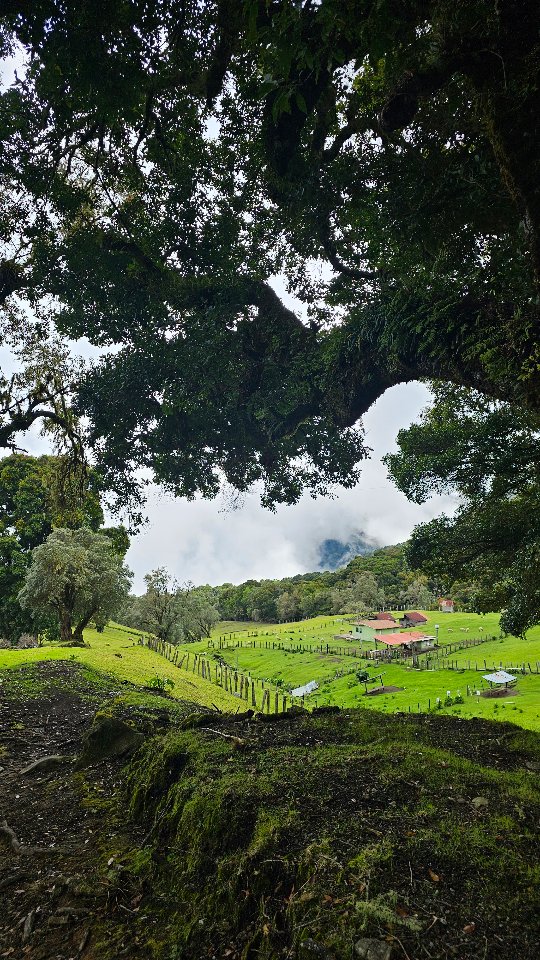 🌿✨ Que la vida siempre nos encuentre rodeados de verde, de aire puro y de lugares que le devuelvan paz al alma. 🍃💚
Aquí, entre árboles, montañas y buena energía, recuerdo que la felicidad también habita en las cosas sencillas. 🌱☀️
Agradecidos siempre. 🙏✨
#BOQUETE #CHIRIQUÍ #PANAMÁ
