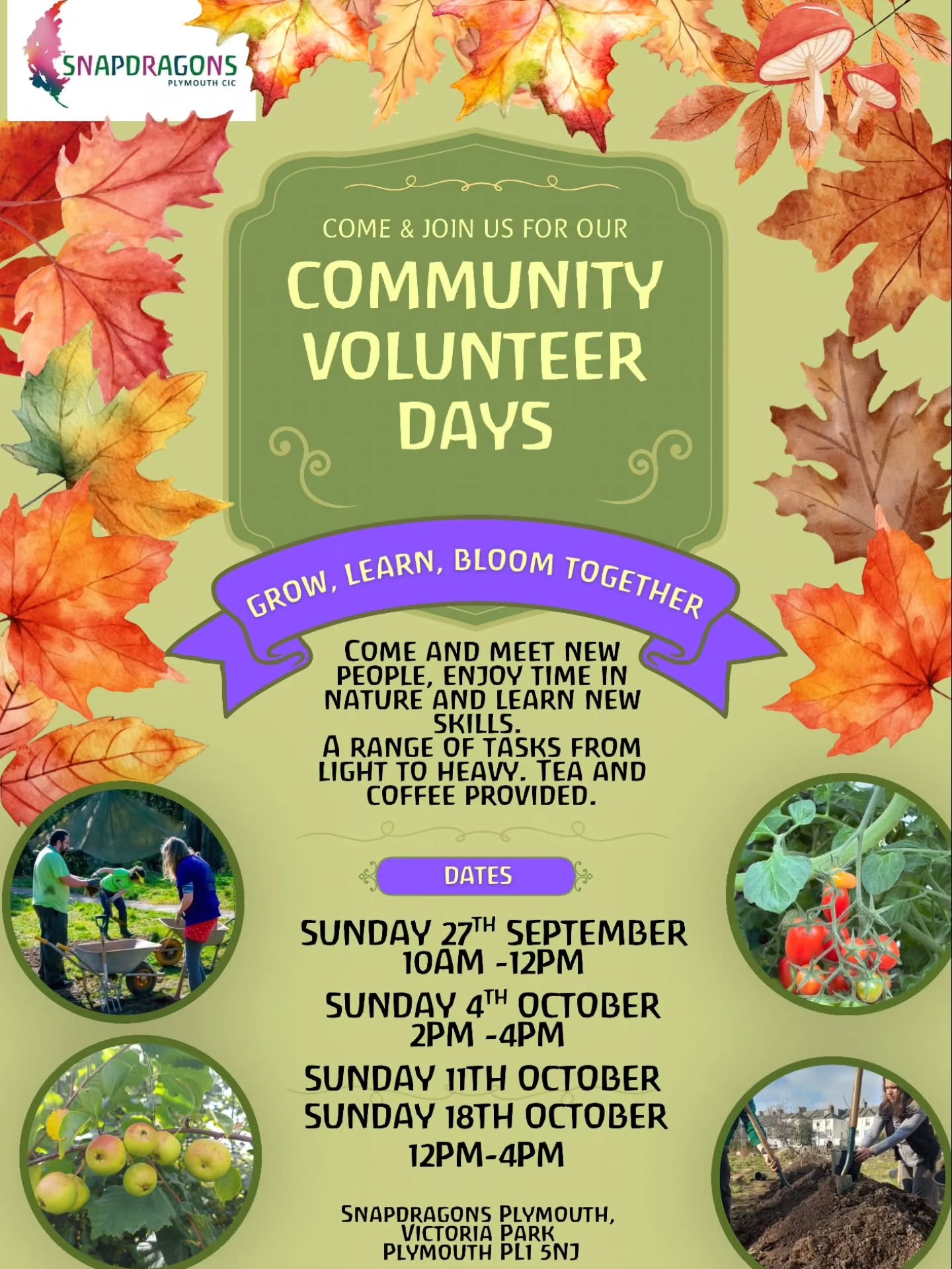 More volunteer sessions coming up! Trialling some different days/times given Autumn/Winter approaching and light dwindling.
Come and say hello, meet some of our volunteers, learn about the project and get stuck in.
A range of tasks available for all abilities and agilities!