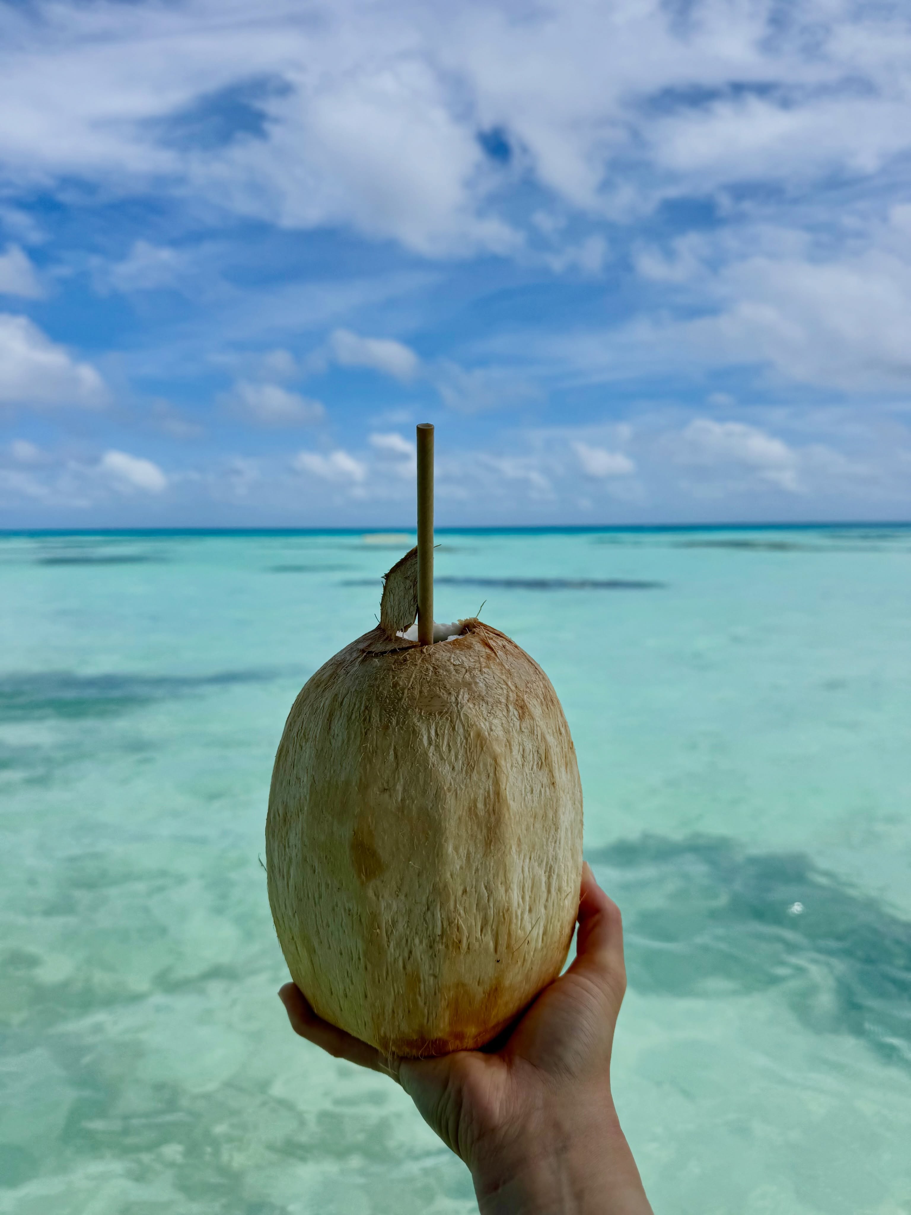 dump de notre deuxième étape en polynésie : fakarava 💙
📍archipel des tuamotu
fakarava • french polynesia • tuamotu • polynesia travel • french polynesia travel • tropical island • turquoise lagoon • island life • travel inspiration
#fakarava #diving #polynesia #voyage #paradise
PK9 considérée comme la + belle plage de l’île
h24 en scooter j’adore
on dirait qu’il cherche le chemin mais il y a qu’une seule route
là où (presque) toutes nos journées ont commencé
la raison de notre venue ici
sharks everywhere !!!
par contre ça se mérite : 2h de bateau aller-retour
aussi beau sous l’eau que sur l’eau
rien à ajouter
j’vous spam mais c’est BEAU QUOI 🥹
et ils étaient si proches !!!
puis j’me suis fait un nouvel ami aussi
baby sharks
une station météo de qualité
requin dormeur juste à nos pieds
petite preuve qu’on était bien sous l’eau qd même
encore et toujours au milieu de l’océan