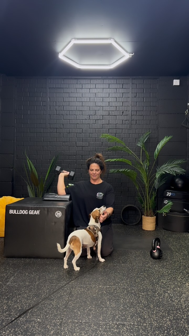 Loving my @bulldoggear space even more with my new plants and the best company 🌱 🐶 🫶
I Managed to get 10 chins tonight which is the first time in a long time to hit that volume. All I’ve done is committed to two sessions working on them every week. My HSPU still need a lot of work though 😅 forever my nemesis, but good things take time! 💪🏻
#strength #chinups #homegym #workout #movementismedicine