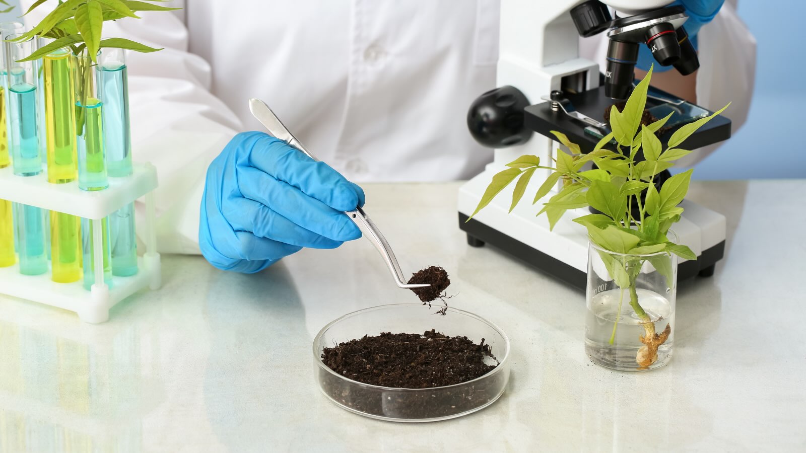 What’s really in your soil? 🌱
Our Standard Contamination Test looks for potentially harmful contaminants, including heavy metals such as lead, cadmium & arsenic, plus hydrocarbons, PAHs, asbestos & more.
Don’t risk it...Test it!
Find out more: https://www.safesoil.co.uk/product-page/standard-contaminationtest
#SafeSoilUK #soiltesting #soil