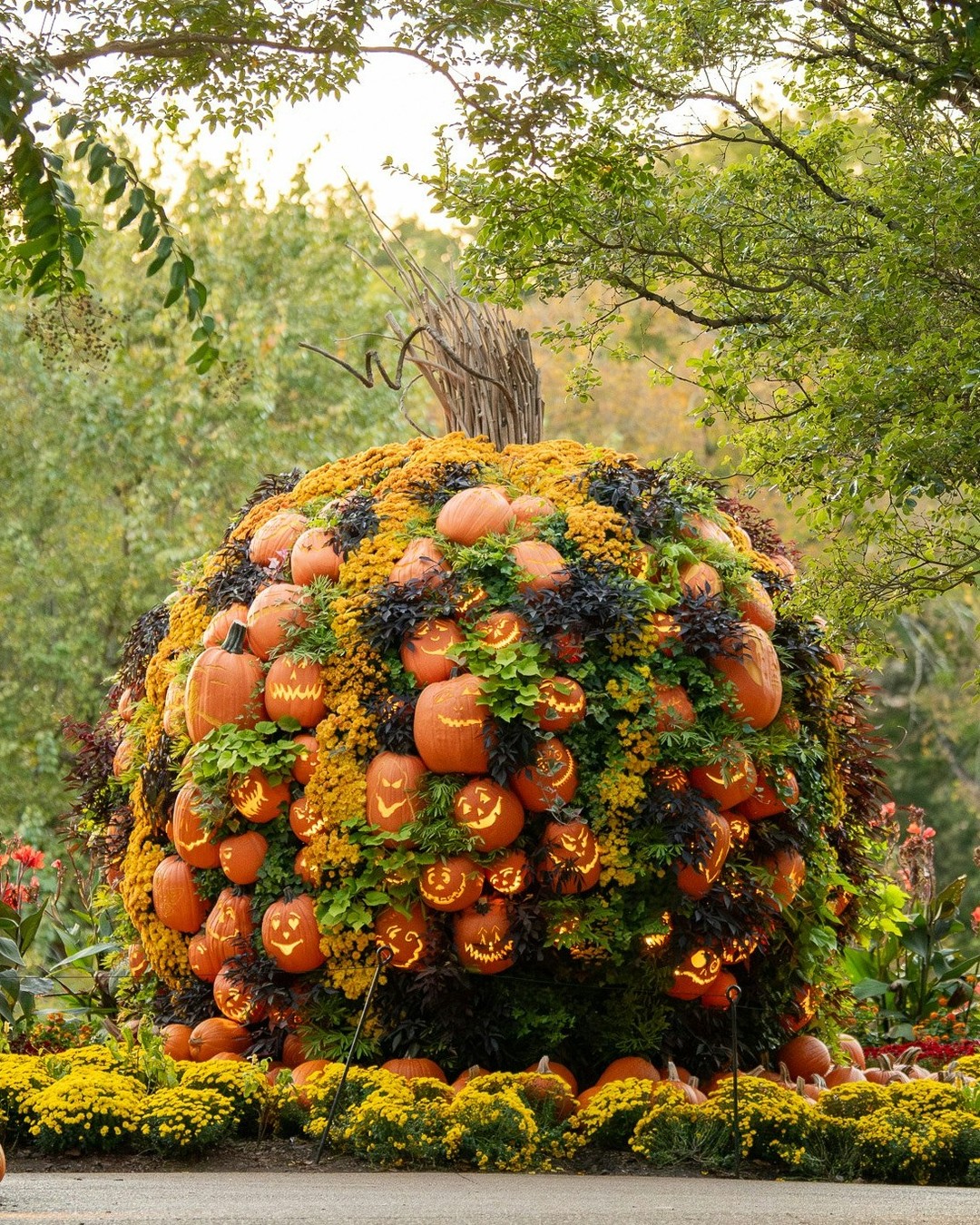 Cheekwood Harvest Returns 🎃
Fall comes alive as @cheekwood Harvest returns September 19-November 1, transforming the historic estate into one of Middle Tennessee's premier autumn destinations. Featuring the debut of the vibrant Marigold River, more than 100,000 pumpkins, Harvest NIGHTS, Pumpkin Village, Scarecrow Trail and seasonal programming for all ages, the six-week festival
offers unforgettable ways to celebrate the beauty of fall. New this year, guests will experience Marigold River, a stunning display of more than 2500 vibrant marigolds in shades of red, orange and yellow, creating a river of color.
Buy your tickets now at cheekwood.org
