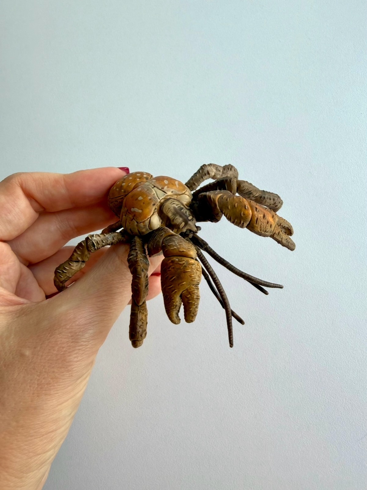 Кокосовий краб PAPO. Ціна 460 грн #sea_animals_svit #фігурки #іграшки