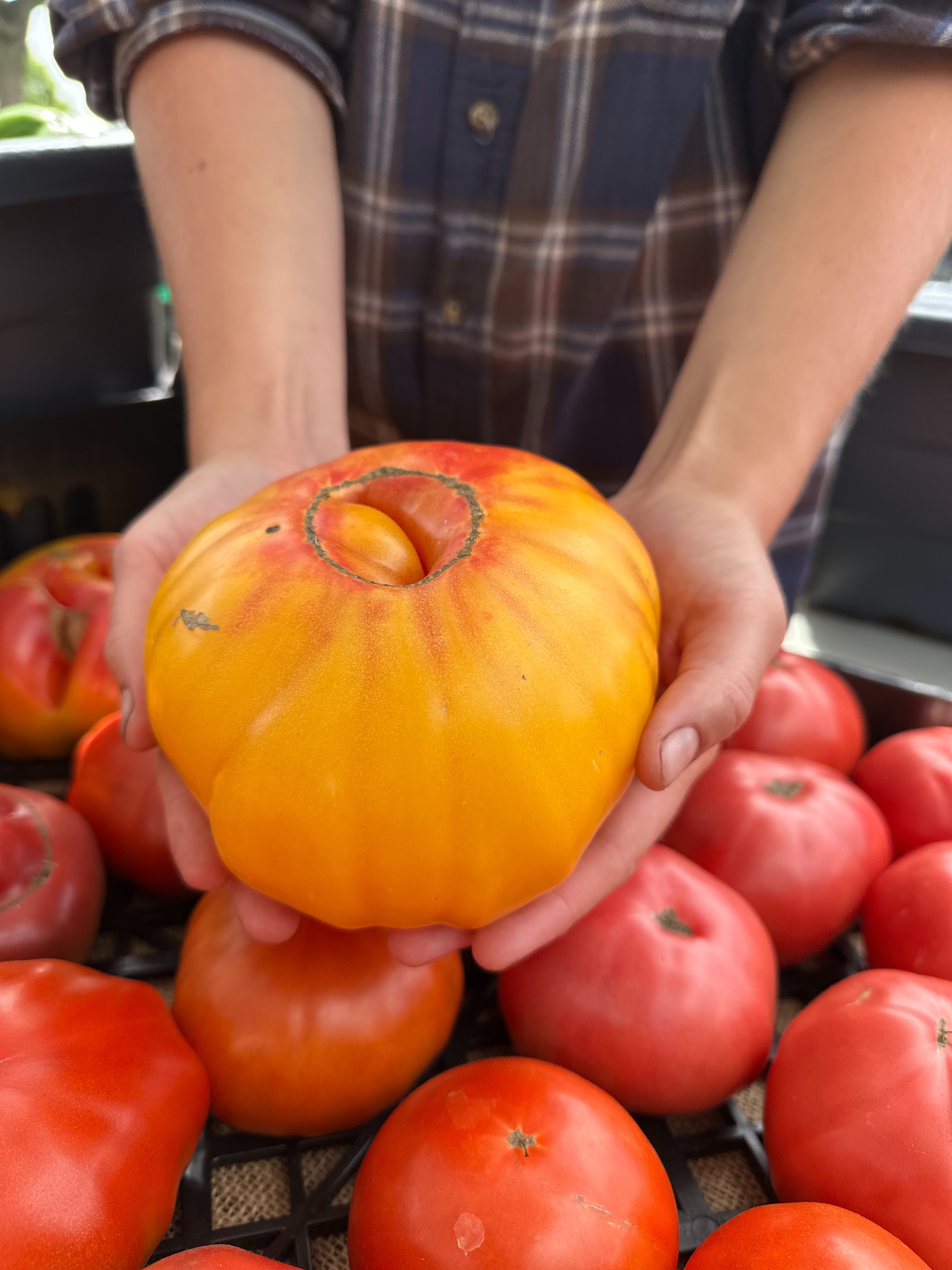 Bringing our farm’s produce to the farmers market is the best end to our week! ✨