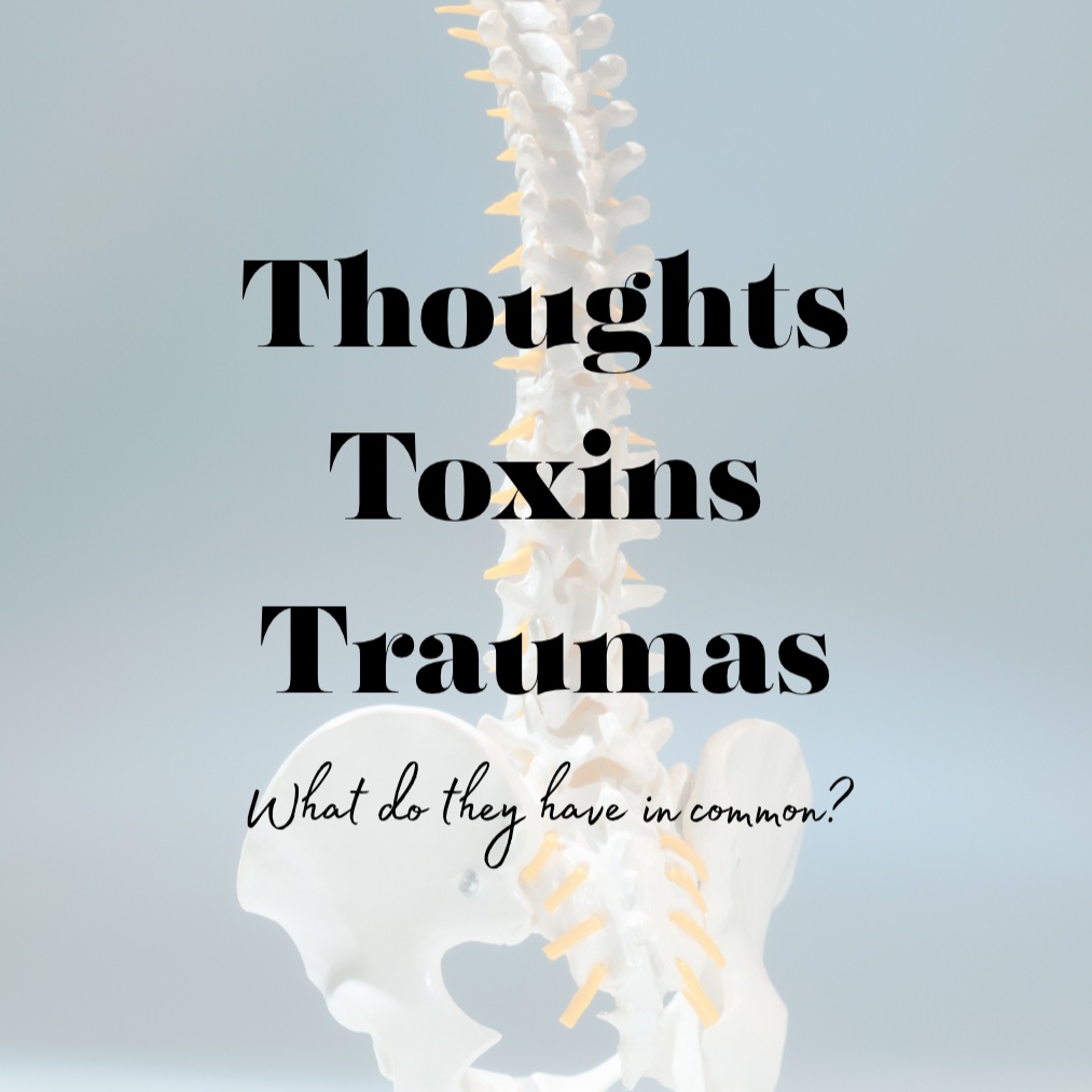 Thoughts, Toxins & Traumas - what do they have in common?
The **Three T’s** can all contribute to spinal subluxations!
So, what is a subluxation?
Simply put, it’s a dysfunction in the spine that can interfere with the nervous system’s ability to communicate effectively between the brain and body.
But here’s the good news… WE have some control over these Three T’s! 🙌
We can:
🥦 Choose nourishing foods: preferably whole, minimally processed and, where possible, organic.
🚭 Reduce our toxic load: reduce or even eliminate things like alcohol, smoking and vaping.
🧠 Be mindful of our thoughts: choose thoughts that are encouraging, empowering and supportive.
🛑 Catch negative thoughts: recognise them and stop them in their tracks before they spiral!
❌ Try not to injure ourselves: although we know accidents happen! 🤣
👐 And most importantly!!! Get your spine checked regularly by a chiropractor, to identify and address subluxations and support healthy nervous system function.
The bottom line -
Your thoughts, your environment and your physical experiences all matter when it comes to your health.
Take control of the things you *can* control! 💚