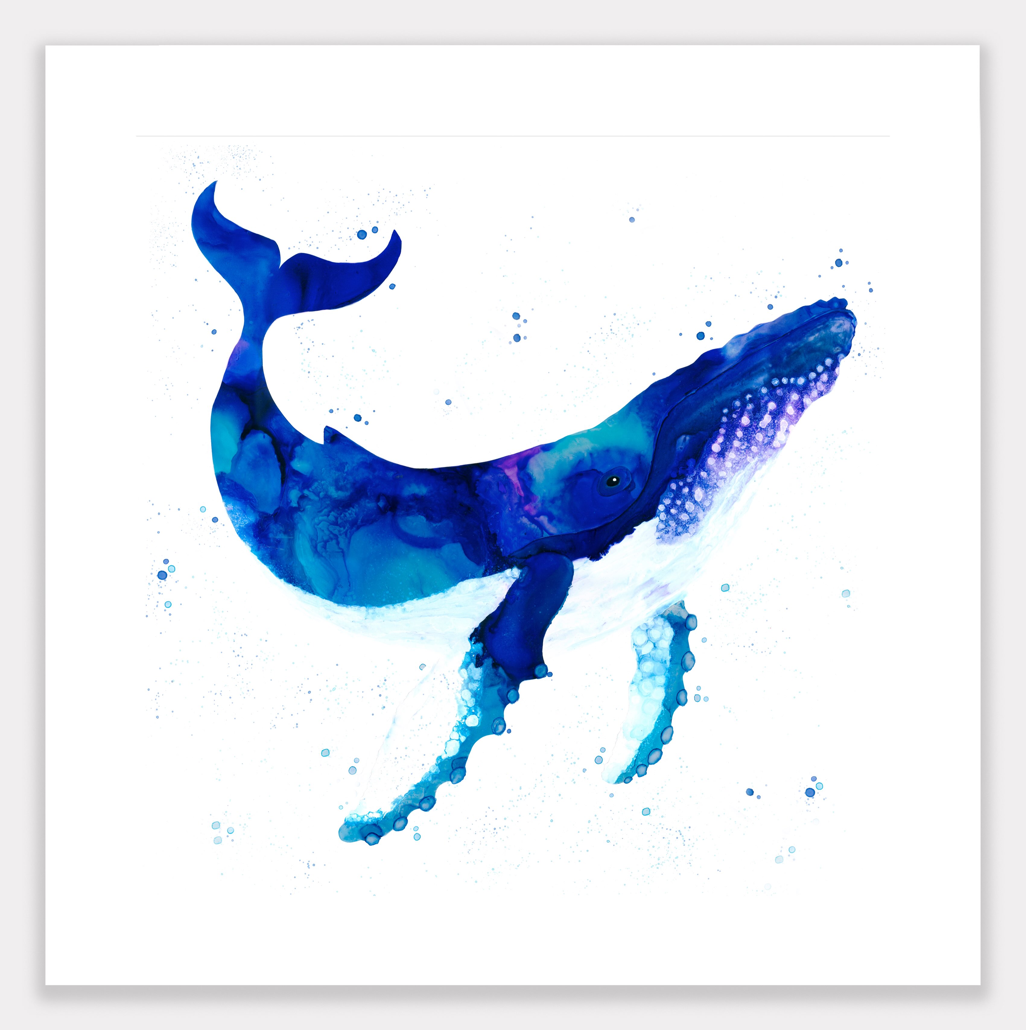 Nova 🐳
#humpbackwhale #alcoholink #blue #whale #artist