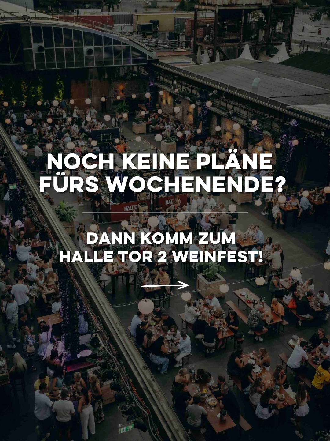 Heute ist es endlich soweit!🍷
Der Spätsommer zeigt sich von seiner schönsten Seite - und was könnte besser dazu passen als ein gutes Glas Wein, leckeres Streetfood und beste Musik unter freiem Himmel?☀️🍇
🗓️Freitag 25.09.2026 | Ab 17 Uhr - open end
🗓️ Samstag 26.09.2026 | Ab 17 Uhr - open end
Das erwartet euch:
🍇Vielfältige Weinstände - Winzer*innen vor Ort
🍴leckeres Streetfood - passend zum Wein
🎤musikalische Live-Acts & DJs
🌤️Indoor & Outdoor (flexible Open-Air Location)
🎟️Jetzt noch schnell Tickets sichern!