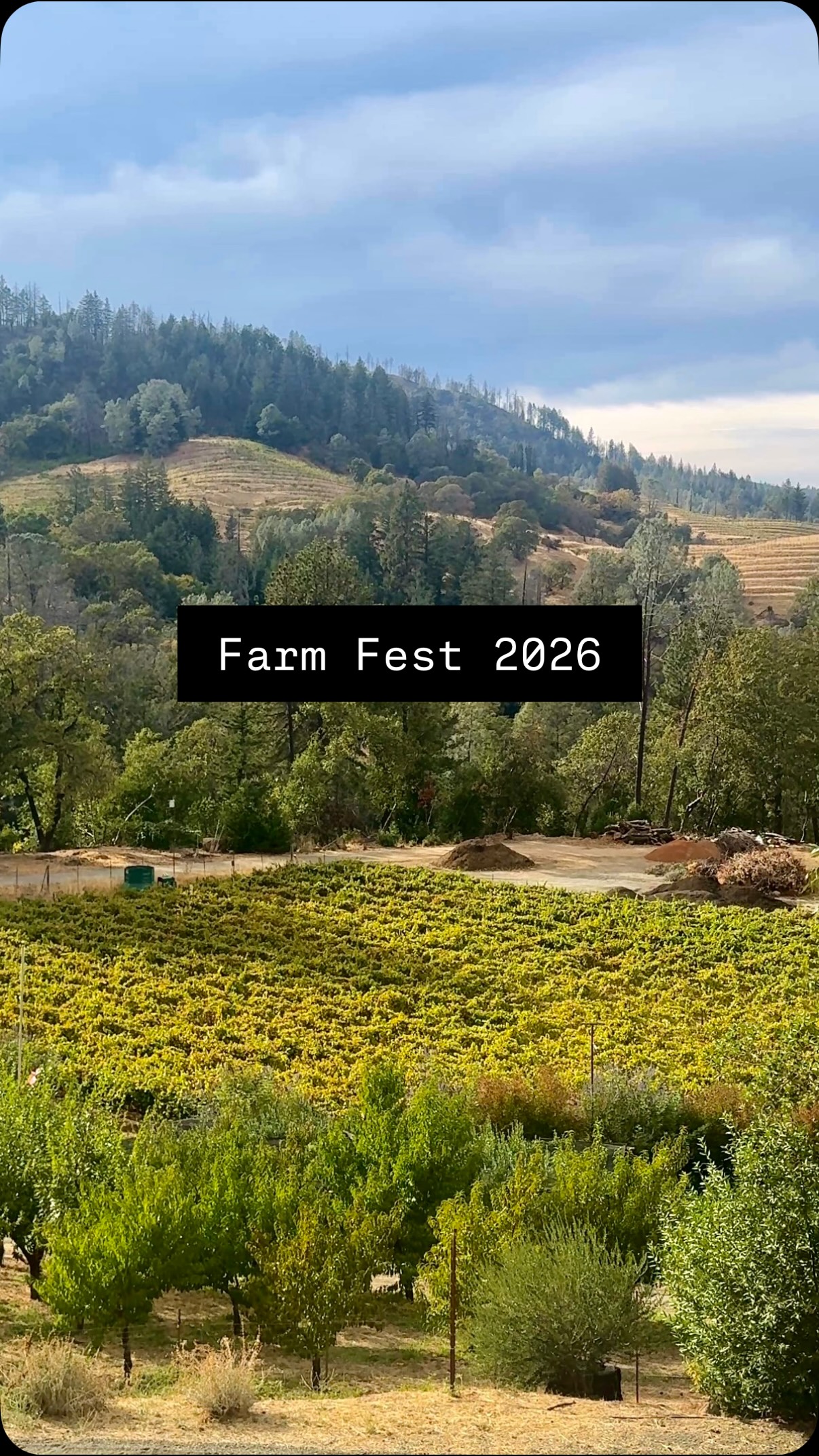 A wonderful Sunday at Farm Fest! This celebration only happens once a year, and it’s the only time you can access @cliffamily’s beautiful farm on Howell Mountain. The culinary team at Clif is so talented (and kind!) and it was lovely to see the way they incorporated everything from the farm into this full on feast. The olives on property are made into extra virgin olive oil and used in everything. The corn is ground and turned into their iconic polenta tots. Hot peppers are roasted and turned into hot sauce. The many kinds of tomatoes are used on burgers and in pizza sauce. Herbs are used dried and used in various seasoning blends. Blackberries are turned into a syrup to go with a special @naysercoffee shaken espresso drink. Everything gets used and transformed into something delicious, and I was so happy to get to taste it all alongside Clif wines 🍷
Big thank you to Clif for having me - I can’t wait to come back next year!