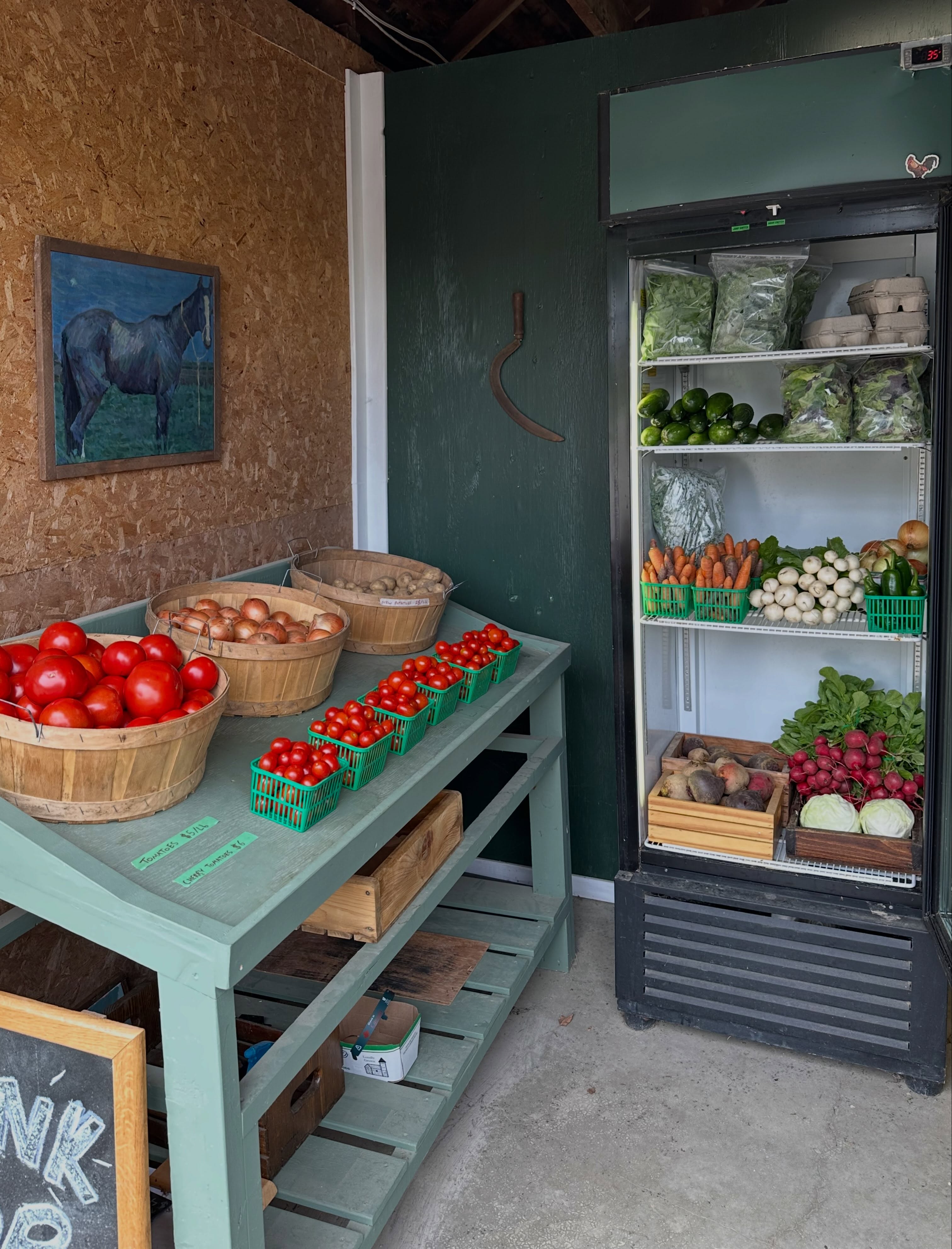 Now available: freshly dug russet potatoes ready for a new home. They’ll be sitting alongside the rest of our seasonal vegetables including tomatoes, onions, spinach, arugula, salad mix, salad turnips, radishes, cucumber, beets, jalapeños,cabbage, eggplant, carrots, shallots, and garlic!