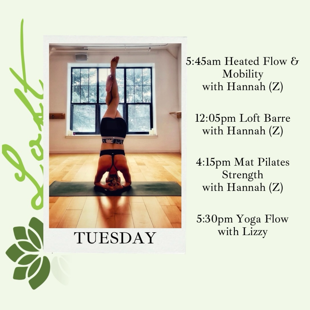 🌱Tuesday Classes🌱
5:45am Heated Flow & Mobility with Hannah (Z)
12:05pm Loft Barre with Hannah (Z)
4:15pm Mat Pilates Strength with Hannah (Z)
5:30pm Yoga Flow - Cancelled
Classes with a (Z) also available through Zoom.