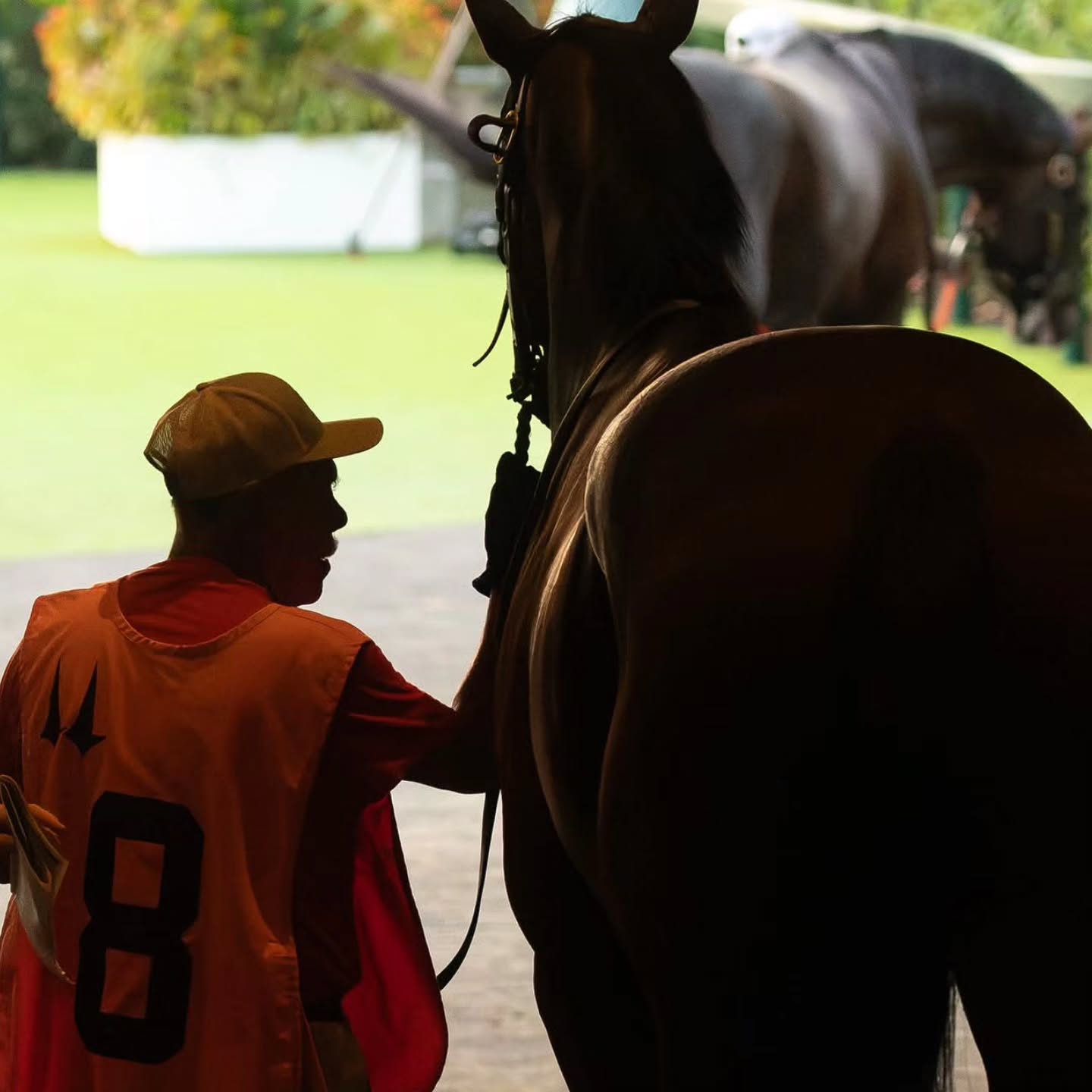 We don't do it enough, but here's to the staff - the heart and soul of the operation. Thank you for the hard work, especially lately during these very hot days. π
#RomansRacing #Teamwork #StableFamily