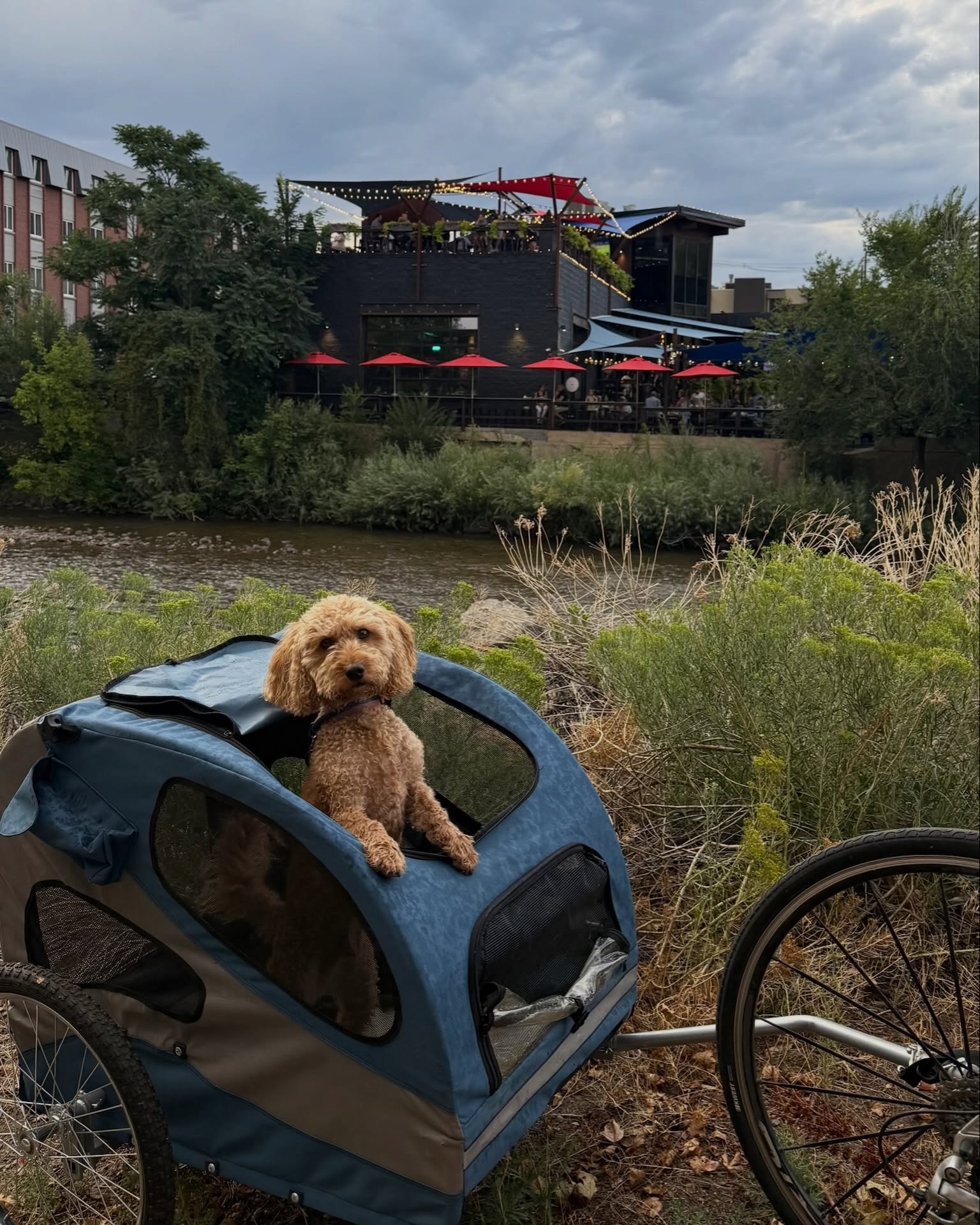We love this creek. Let’s take care of it 💙
Join The Golden Mill and @molsoncoors for the Rocky Mountain Water Clear Creek Cleanup this Wednesday, 9/23! This event is part of Molson Coors’ Cheers to Our Rocky Mountain Water program, a community-first effort to protect vital water resources in Golden, Denver, and surrounding communities.
🕐 1–1:30 PM: Meet at the Golden Welcome Center Patio
🧤 1:30–3 PM: Clear Creek cleanup along the trails
🍻 3–6 PM: Happy Hour at The Golden Mill
As a thank you for pitching in, volunteers get a complimentary drink ticket to use during the following happy hour at The Golden Mill and a free hat. Sign up to volunteer at https://www.molsoncoors.com/rocky-mountain-creek-cleanup