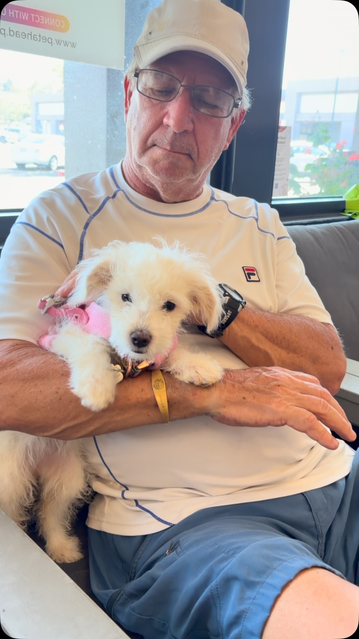 So grateful for our @almarescue volunteers! We transported 9 ALMA pups to Oceanside today & it definitely takes a village.
Thank you @shadowridgevets for always taking such great care of our rescue pups π
#adoptdontshop #bajababies #rescuedwithlove #fyp #almarescue
