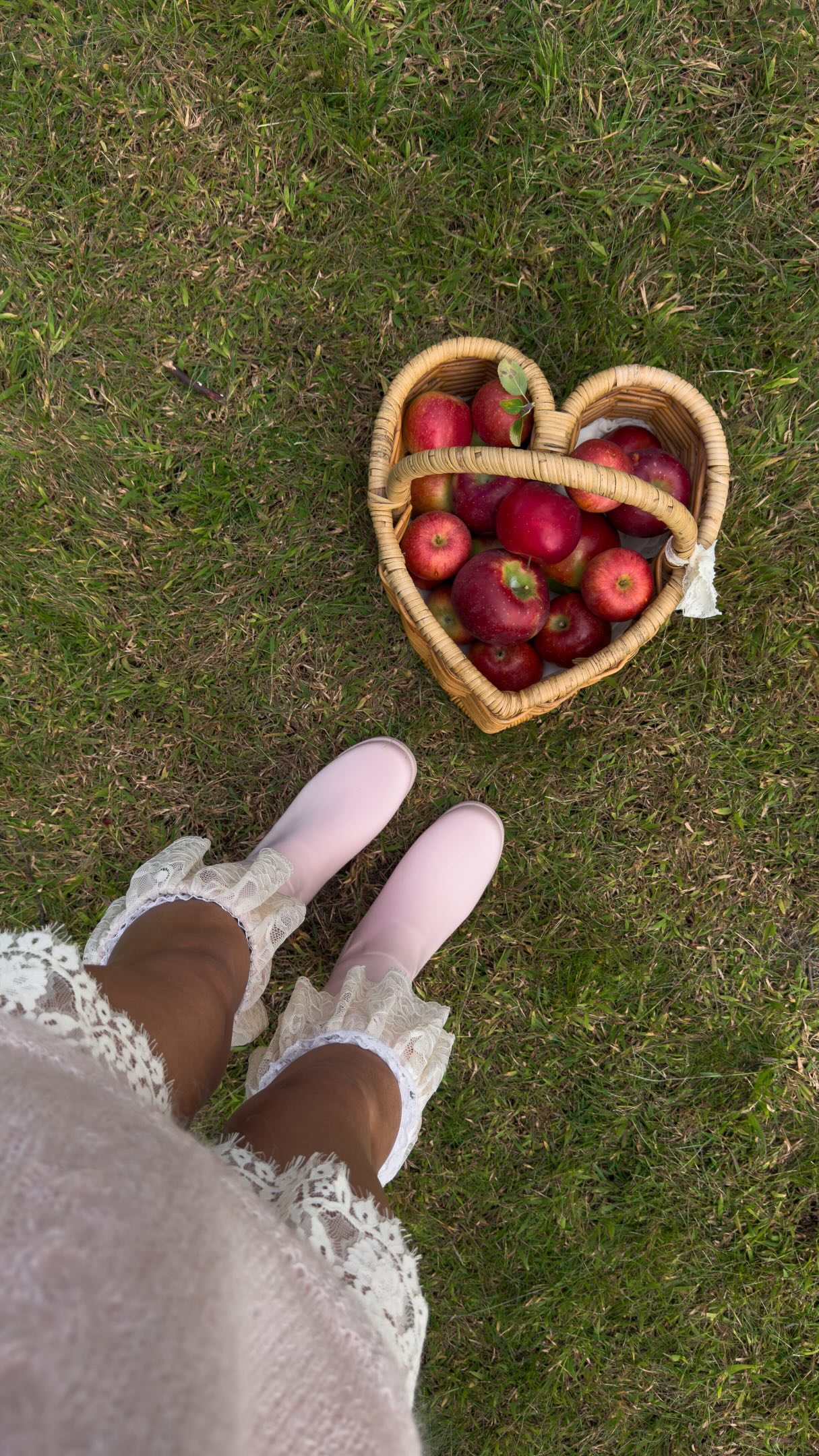 here for the photos and the apple cider donuts 🍎🧺✨
#applepickingseason #fallbucketlist #falloutfitinspo