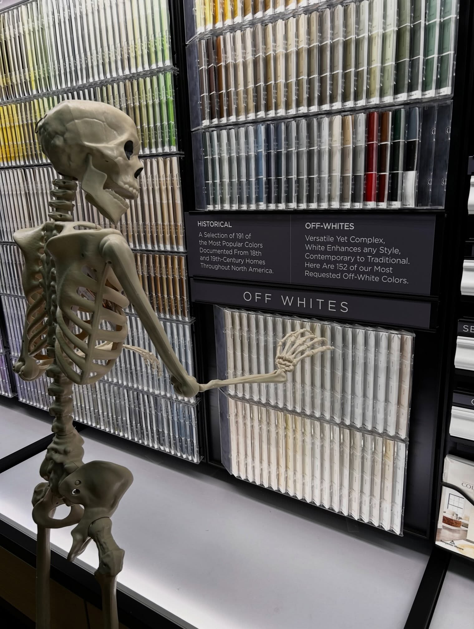 Bone White! My favorite color. 💀
No matter what your paint preference, our paint professionals are equipped to whip up something wicked (or wonderful) for your walls. @benjaminmoore
#colevalley #rockridge #russianhill #northbeach #benjaminmoore