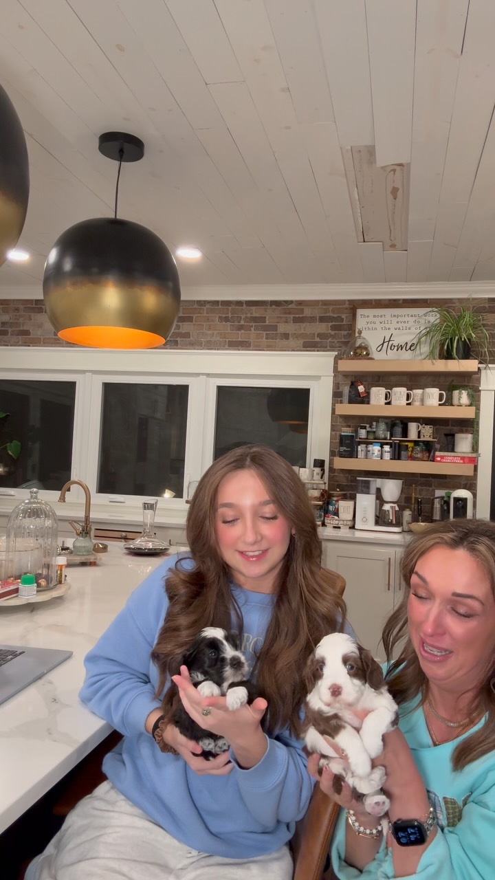 Meet Cricket’s Puppies!
Juju and Danielle are so excited to officially introduce you to Cricket’s beautiful new babies! 🥰
There’s just something special about those first few days—tiny paws, sleepy snuggles, and watching each little personality begin to emerge. ❤️ Cricket is doing such a wonderful job with her babies, and we’re already completely in love with this sweet little crew.
We can’t wait to share more as they grow! 🐶✨
Which little face catches your eye first? 👀
#SouthernMeadowsDoodles #AustralianLabradoodle #AustralianLabradoodlePuppies #LabradoodlePuppies #PuppyLove