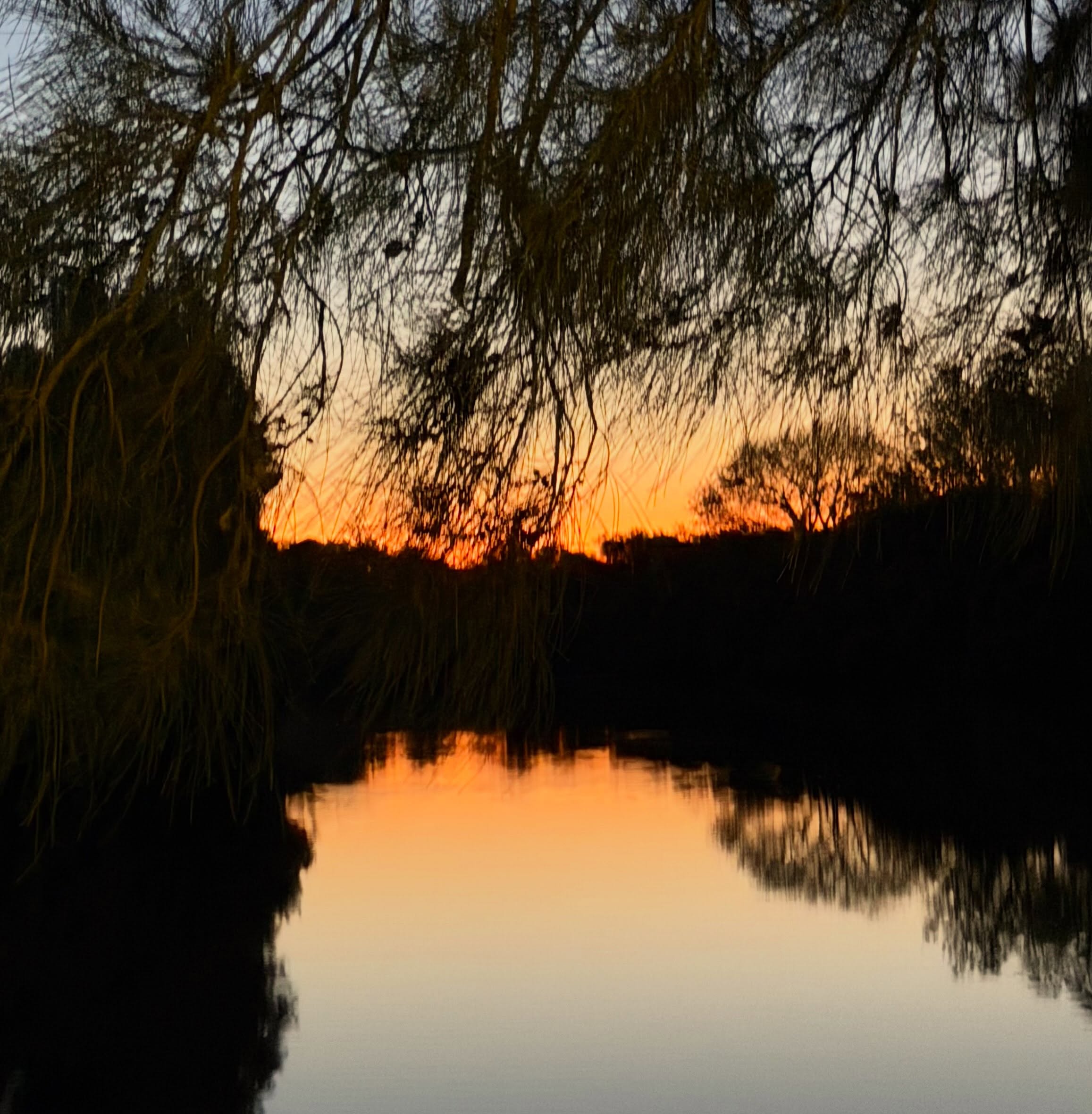 It got to 33 degrees today and it was still 30 when the hound and I did the circuit. The sun had set about 30 minutes before but lucky for me there was a little colour left at my favourite part of the river. Dead still water. Incredibly scented spring air. Cicadas and frogs battling it out in the sound department. It’s always worth the effort #hotspringday #wintersover #howstheserenity #riverlife