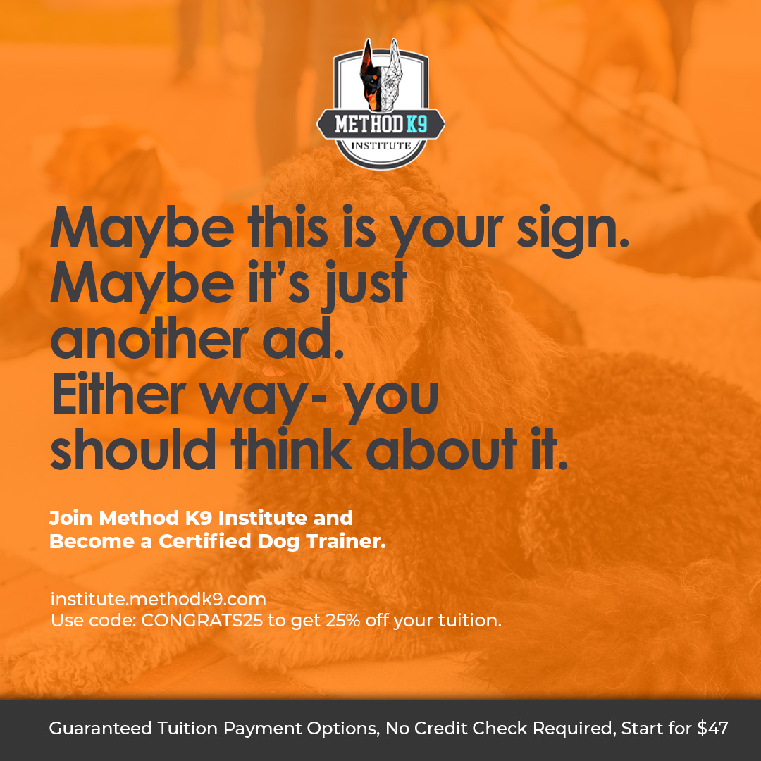 Join Method K9 Institute and become a Certified Dog Trainer. Comment CERTIFY and we will send you a link to our Certification Courses!
- One of the TOP Dog Trainer Academies in the World
- Guaranteed Tuition Payment Options
- Monthly Training & Business Coaching with Industry Professionals
- Online and In-Person learning
- Complete Each Level in 6 months or Less with Our Self-paced Curriculum
Comment CONSULT to schedule a Pre-enrollment call if you have questions before registering.
Not ready to enroll yet? Take our Free Workshop Course!
Get access to foundational training education and see what Method K9 is all about. Hope to see you in class!
Comment WORKSHOP and we will send you a link to this course.