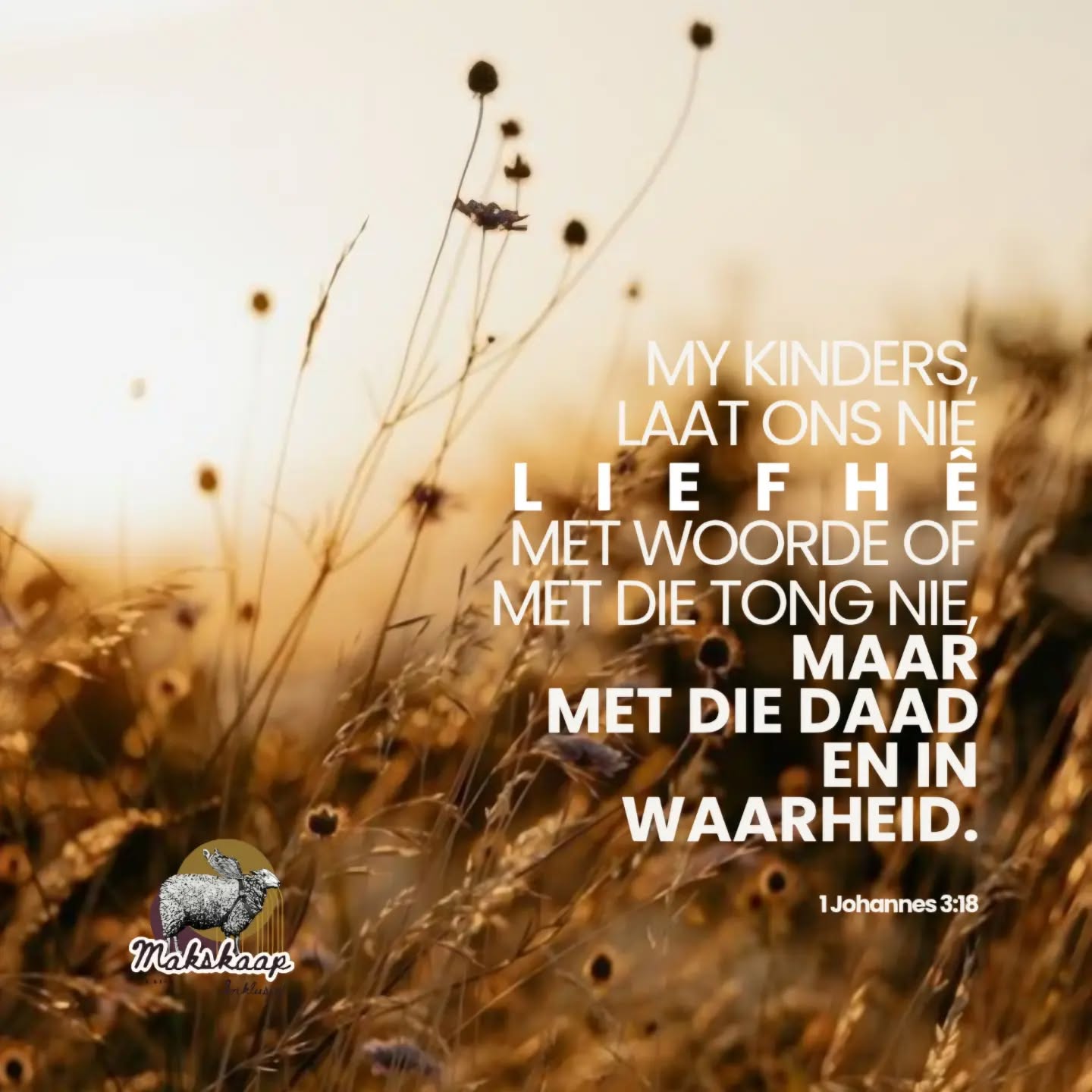 My kinders,
laat ons nie liefhê met woorde of met die tong nie,
maar met die daad en in waarheid.
En hieraan weet ons dat ons uit die waarheid is;
en ons sal ons harte voor Hom gerusstel,
want as ons hart ons veroordeel,
God is meer as ons hart,
en Hy weet alles.
I Johannes 3:18-20