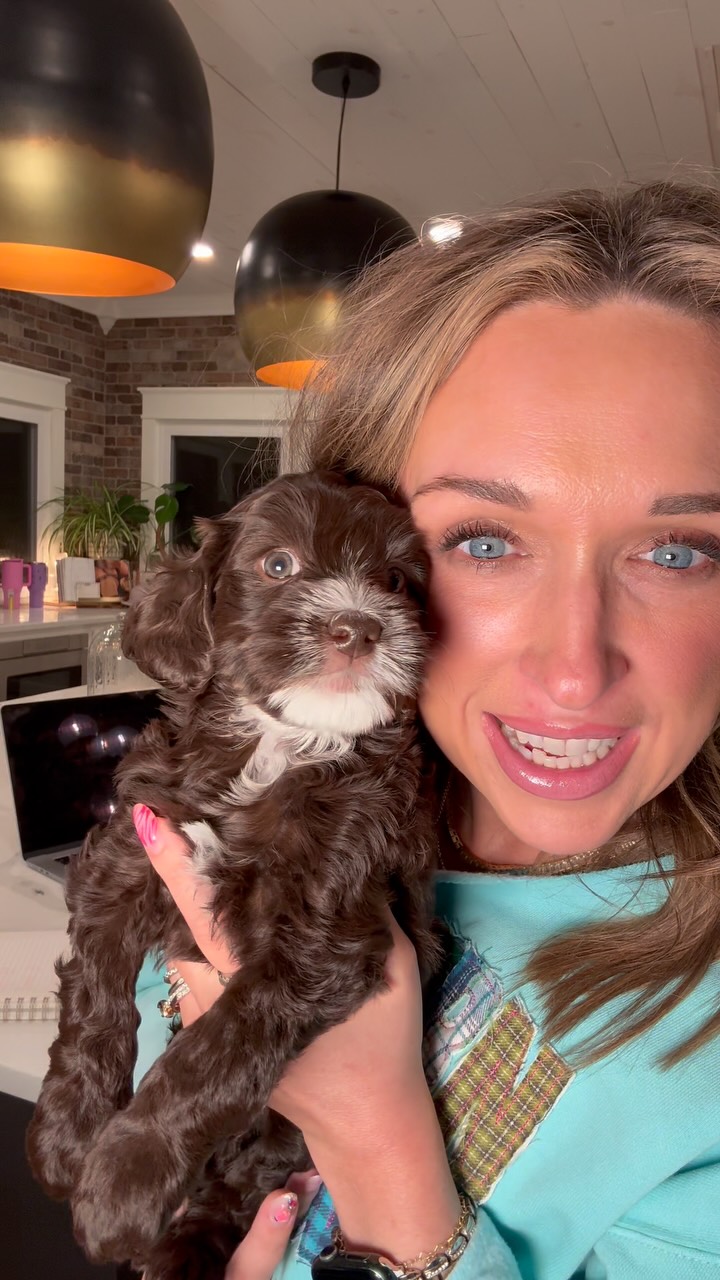 Life and pup update! We are so excited to share these beautiful sweet puppies with you guys! We do have availability! Hoing home 10/3/26. Let us know ownwhobis your favorite in the comments below! 🐾🐶🥰
#southernmeadowsdoodles #australianlabradoodle #puppylove #australianlabradoodlebreeder #doodlesofinstagram