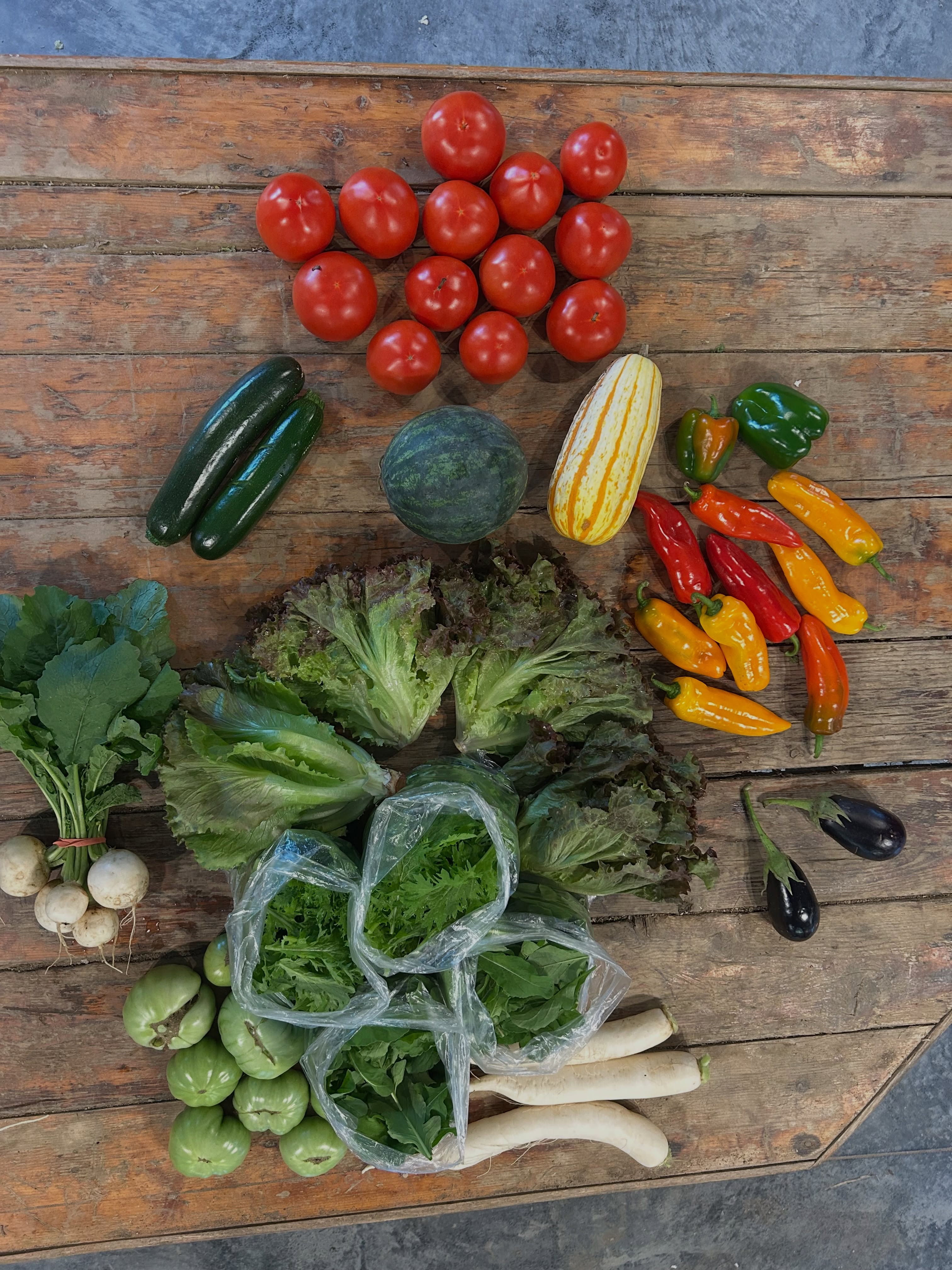 This week‘s full share, half share and CSA set up. Looking too good not to share!