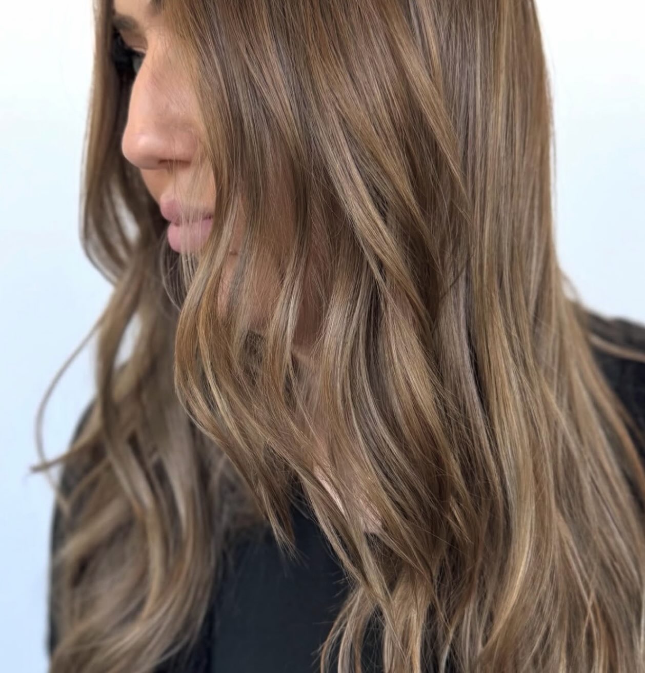 Darker, softer, richer 🤎
Hair by Kelly
#renosalon #renohairstylist