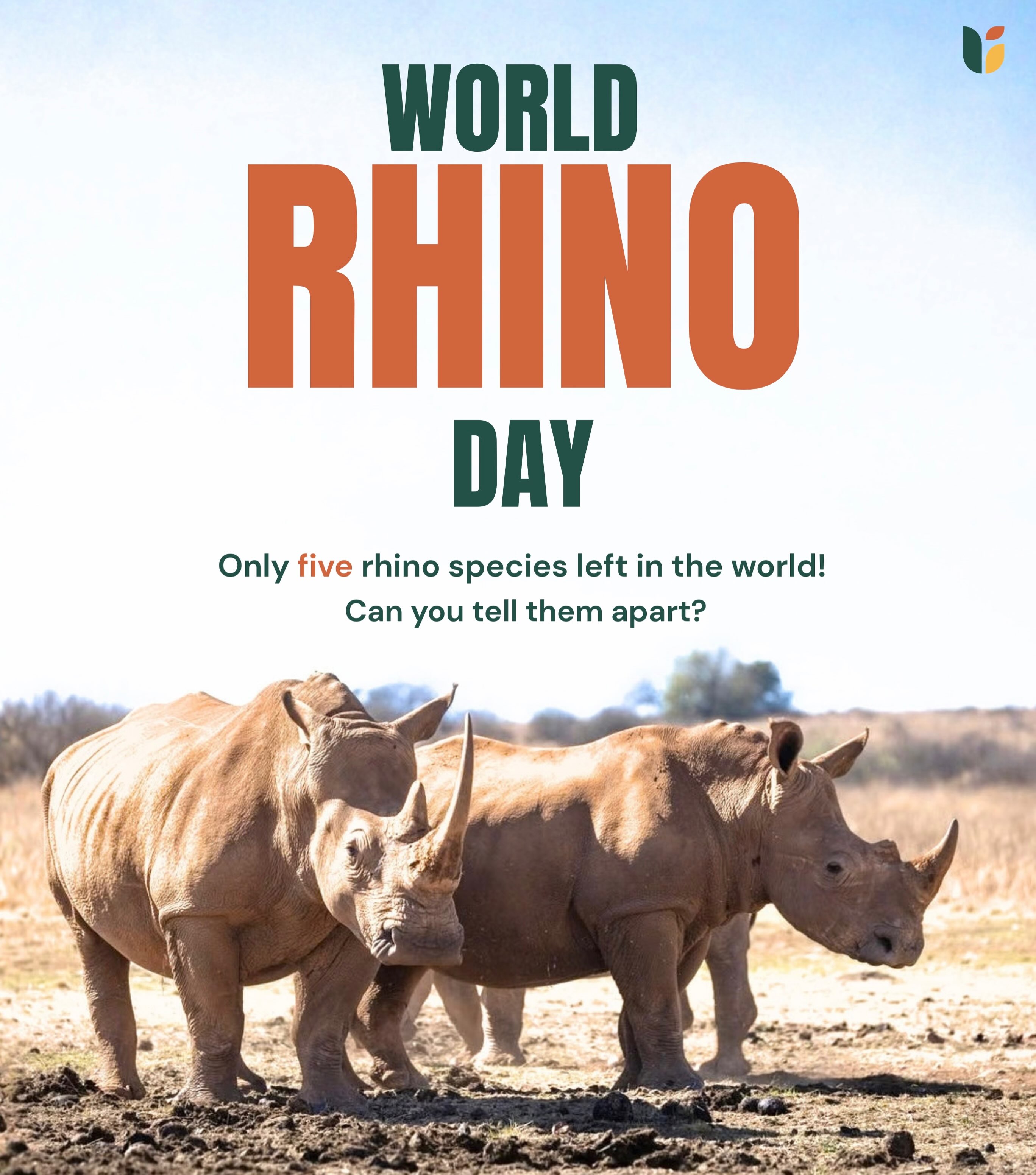 Five species. One shared future.
There are only five rhino species left in the world, with fewer than 27,000 rhinos remaining. Each is distinct, each plays a role in its ecosystem, and all five continue to face threats.
This World Rhino Day, take a closer look at the five species — from the Greater One-Horned Rhino of India to the Javan, Sumatran, Black and White Rhinos — and see if you can tell them apart.
Conservation has shown that change is possible. From India’s progress in protecting the Greater One-Horned Rhino to conservation efforts supporting some of the world’s rarest rhino populations, there is reason to keep working.
Know the five. Keep the five alive.
#WorldRhinoDay #KeepTheFiveAlive #RhinoConservation #WildlifeConservation #UpadhyayaFoundation