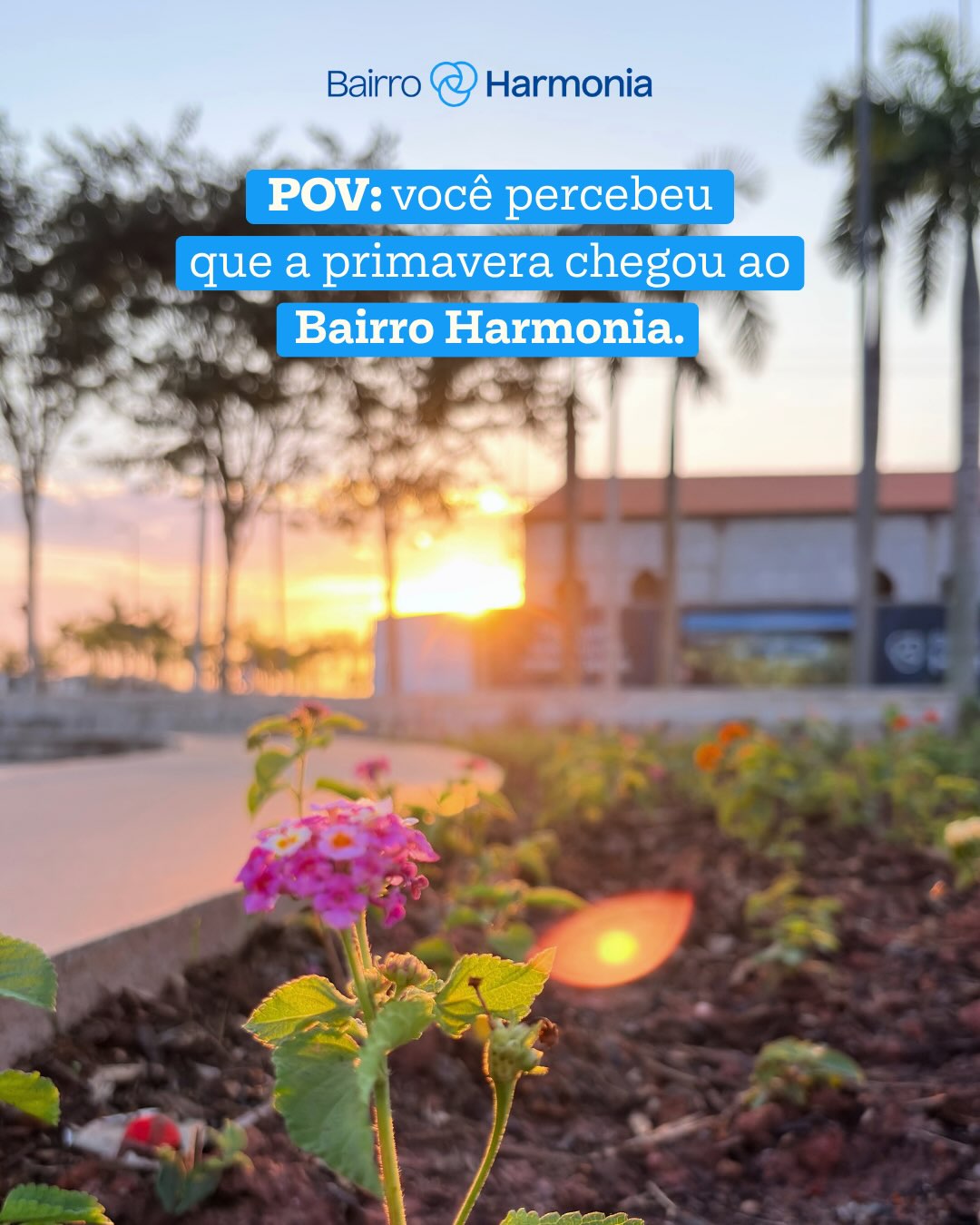 A primavera chegou trazendo um novo clima para o Bairro Harmonia. 🌸
Mais cor, mais verde e aqueles detalhes que deixam os caminhos ainda mais bonitos nessa época do ano.
Por aqui, a mudança da estação também aparece na paisagem e deixa tudo com uma energia diferente.
Bem-vinda, primavera🌿✨