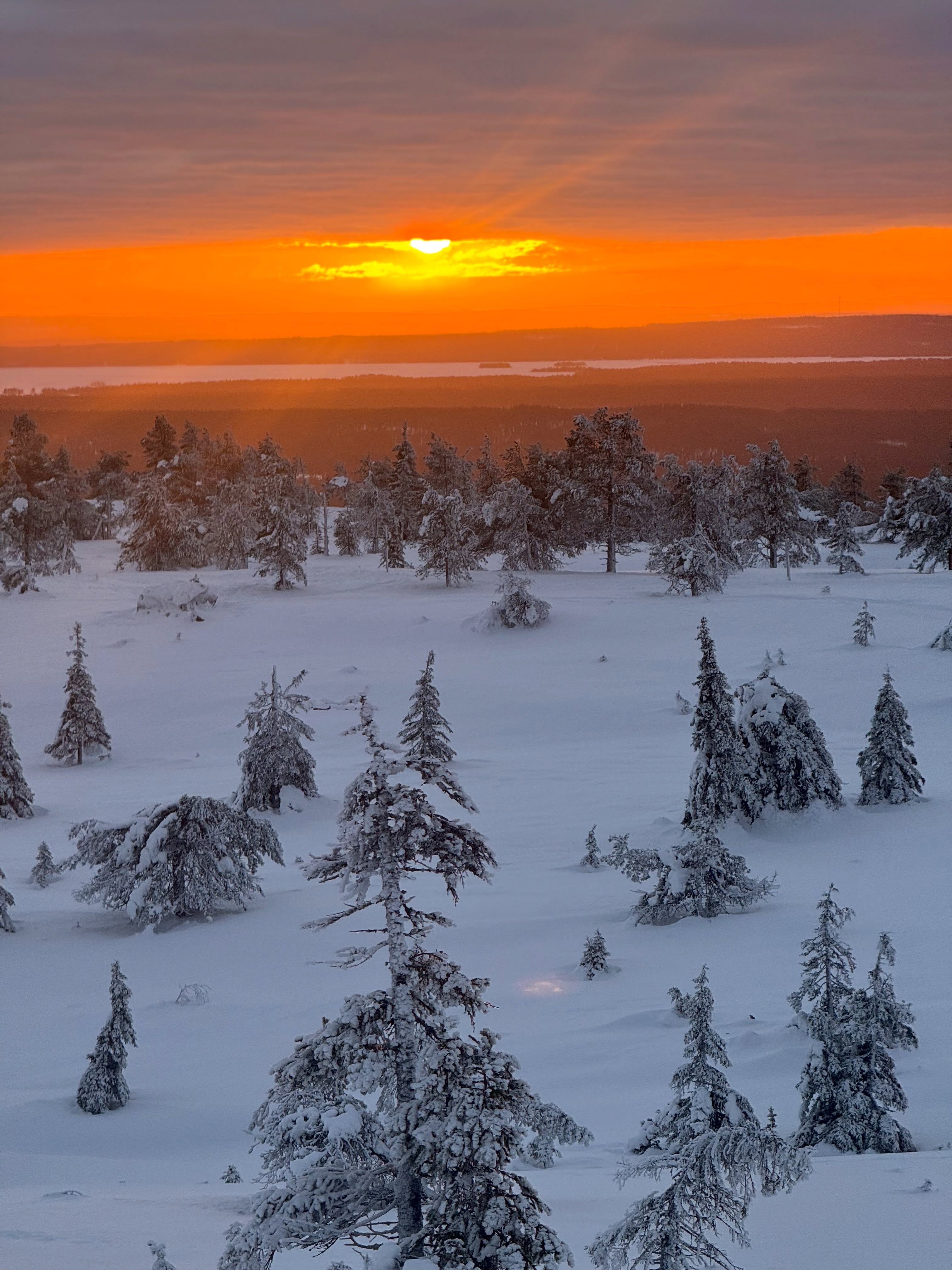 Peut-être qu’il y a seulement 4h d’ensoleillement par jour en Laponie, mais on profite de l’heure bleue et ses couleurs roses le reste du temps ! 🌅
#rovaniemi #laponie #finlande