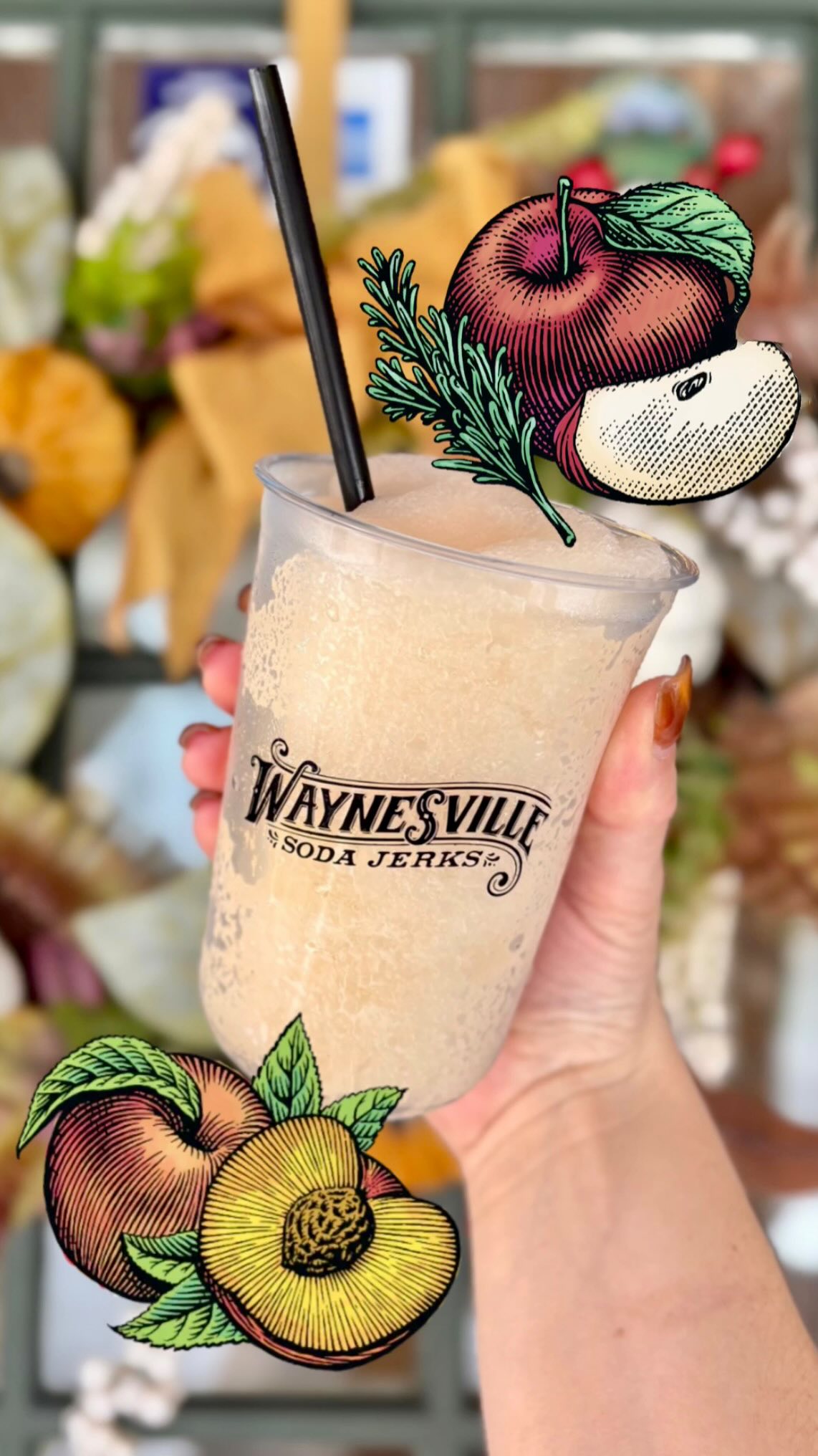 Fall’s here, but summer isn’t leaving without a fight. 🍑🥊🍎
This week’s soda slushie showdown: Apple Rosemary vs. Peach— both made with @kts_orchard Haywood County-grown produce. Can’t pick a side? Don’t! One of our lovely customers mixed them today and swears it’s the move. 🤩👍
The gift shop is officially cozy season ready too, with fall flavors from @poppyhandcraftedpopcorn and more autumn favorites from @fullmoonteacompany @oldschoolmill @whollygoatsoap you’ll want to get your hands on before they’re gone. 🍿🍂
📣 Dirty soda fans, we’ve heard you loud and clear… more toppings and options are coming to the Sips & Snacks Bar soon!
With temps still hanging in the 70s, it’s basically slushie weather in a sweater. Swing by after work or school, on your break, or while you’re passing through Waynesville. We’re open Tuesday–Saturday, 10AM–6PM.
#waynesvillesodajerks #waynesvillenc #sodaslushie #fallflavors #shoplocal