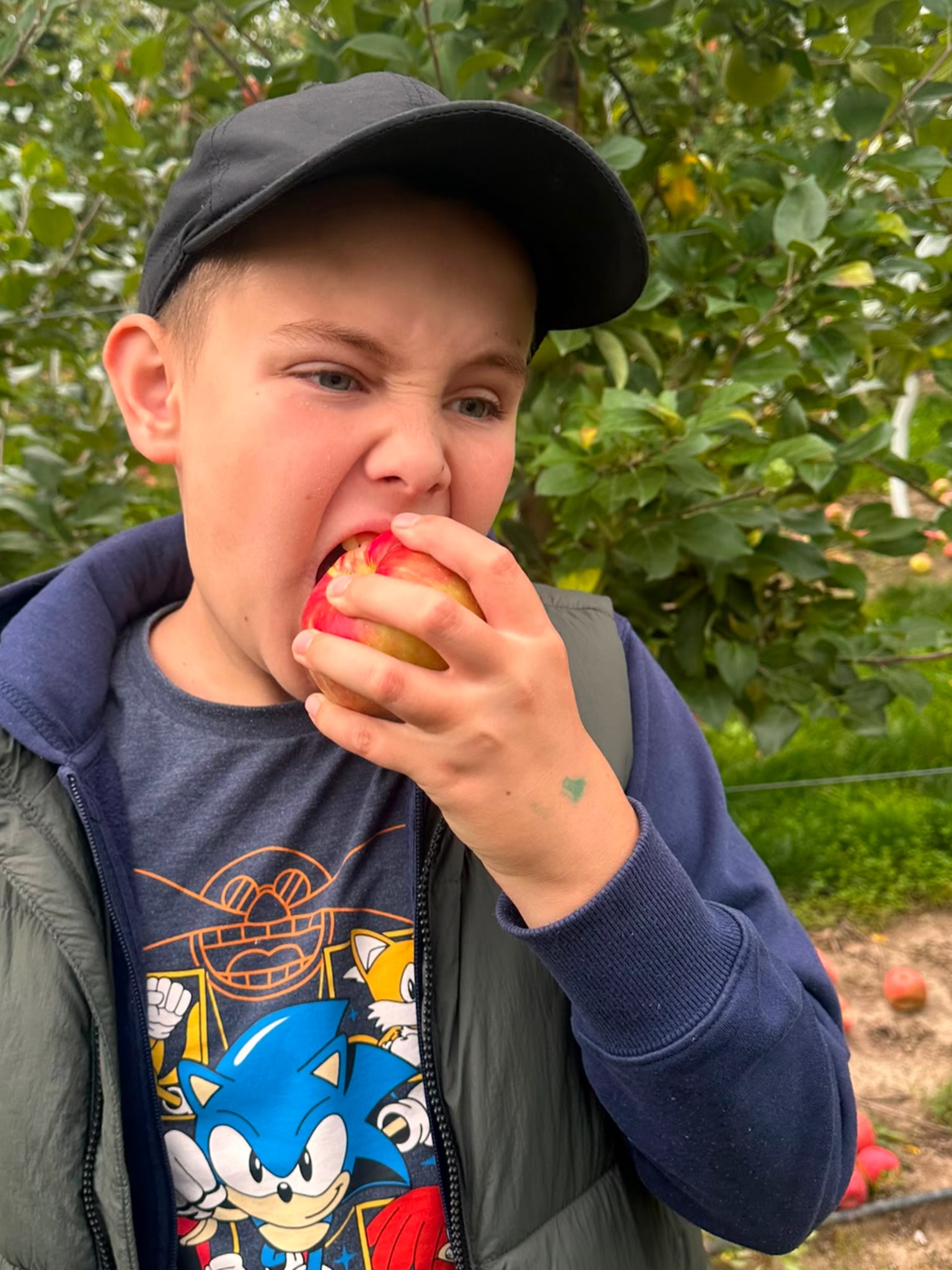 Apple picking with IBI! 🍎
A summer outing with our amazing kids! We are so proud of these little ones exploring and enjoying the farm experience. Starting and ending with a tractor ride and picking their apples these superstars are practicing life skills one apple at a time! 🍎
#CommunityBasedLearning