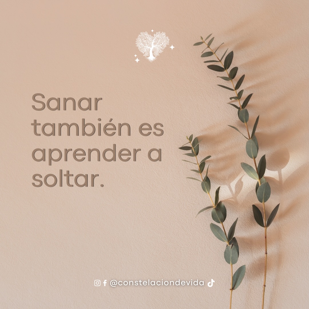 A veces creemos que sanar significa entenderlo todo, encontrar respuestas o dejar de sentir aquello que nos dolió.
Pero también puede significar aprender a soltar.
Soltar expectativas que ya no nos pertenecen.
Soltar la necesidad de tener el control.
Soltar culpas que hemos cargado durante demasiado tiempo.
Soltar vínculos, dinámicas o formas de vivir que ya no nos permiten estar en paz.
Y soltar no significa olvidar.
Tampoco significa que aquello que vivimos no haya sido importante.
Significa reconocer que hay cosas que no podemos cambiar y que seguir aferrándonos a ellas puede impedirnos avanzar.
Desde una mirada sistémica, observar nuestra historia puede ayudarnos a comprender qué estamos sosteniendo, de dónde pueden venir algunas de nuestras formas de relacionarnos y qué queremos comenzar a hacer diferente.
A veces, sanar no es luchar más fuerte contra aquello que nos duele.
Es permitirnos dejarlo ir poco a poco. 🤍
¿Qué sientes que estás aprendiendo a soltar en esta etapa de tu vida? Te leo en los comentarios. ✨
🌐 constelaciondevida•com
🔮 Agenda tu sesión enlace en el perfil
📩📲 55 4453 509
#TerapiaSistémica #ConstelacionesFamiliares #SanaciónEmocional #Autoconocimiento #CrecimientoPersonal