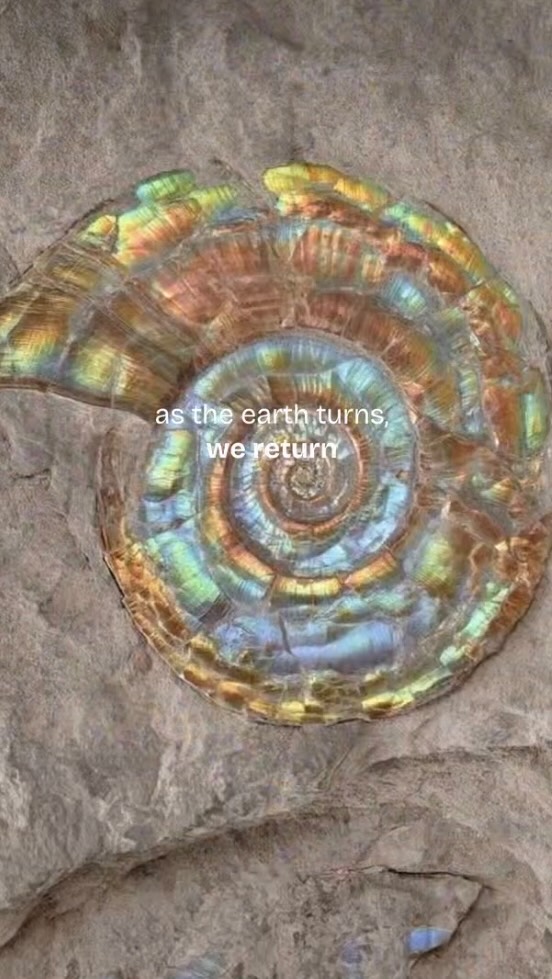 The Turn
The return
Turning inward
to create room for our greater visions to emerge, by allowing emptiness and silence to take hold of our internal spaces— we clear our internal ground in the fall— before we go into rest in the cold and darkness of Winter.
This is the time of year to clean out space by composting your old ideas and using the energy they hold to make fertile soil for new creations and visions.
I am not suggesting a passive experience of going to sleep and wishing the time away— and hoping that things will change— but an active engagement of becoming quiet and listening to what is trying to get your attention and emerge from within you— by allowing the dream space to activate while your external activity lessens.
On the Fall Equinox you may want to honor all that you have in your life and shift your consciousness from one of lack to one of gratitude in some way through a small ritual or ceremony. Such as lighting a candle, giving thanks, and speaking your gratitude for all that you are and all that you have.
In this time spent in thoughtfulness around the moment of equal light and equal dark, I acknowledge my personal growth cycle and ask for harmony and balance to fertilize the soil of my life's garden.
Evolve has an evolving Monday night gathering in meditation that occurrs weekly both in person and on zoom info in bio
See you on the inside
#vibrationalhealing #equinox #fall #cycle video jennRiver