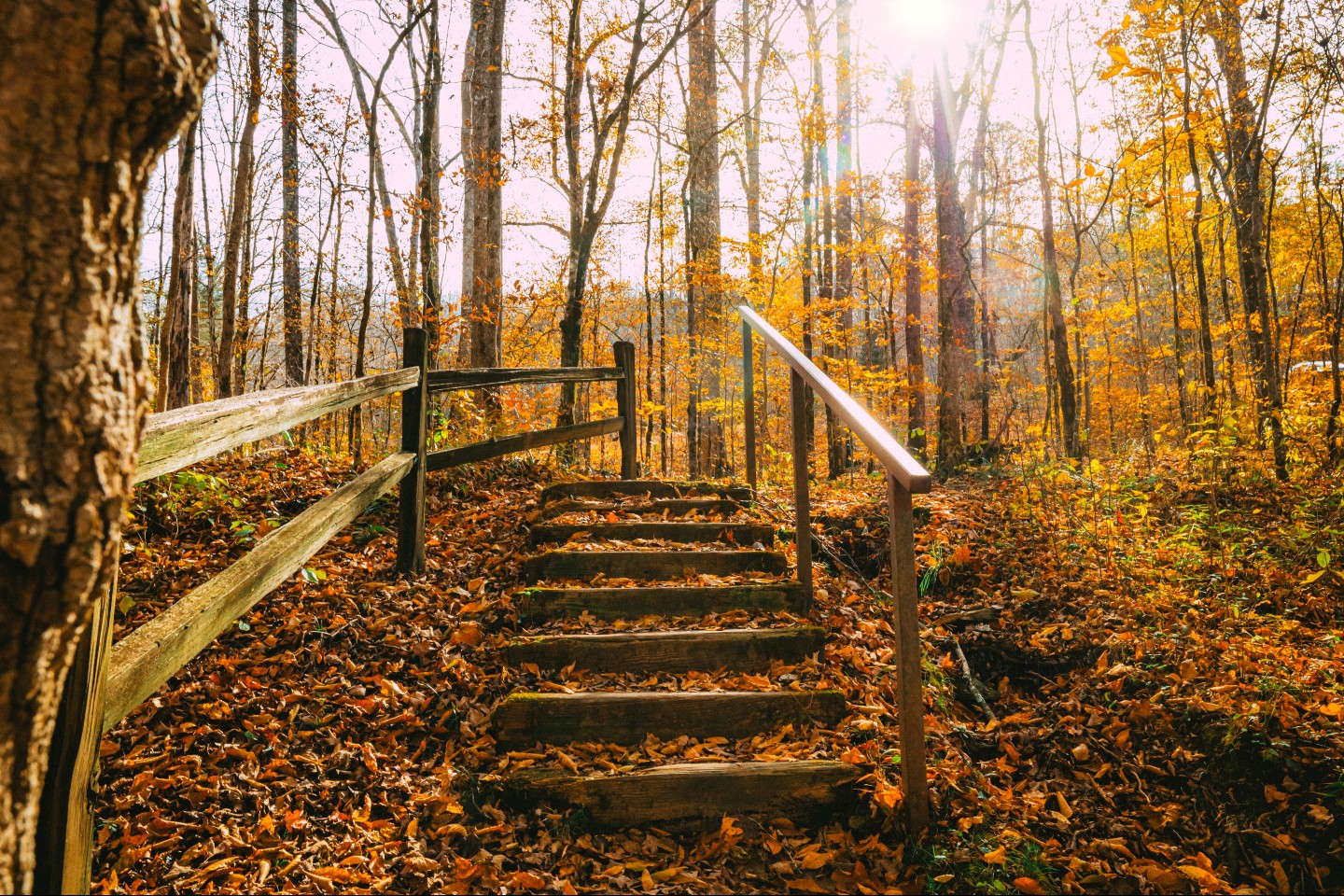 In honor of the first official day of Fall, here is a glimpse of Autumn in Tennessee😍🍁
📸: Morrison Visuals, Alaina Broyles Photography,
#experiencetennessee