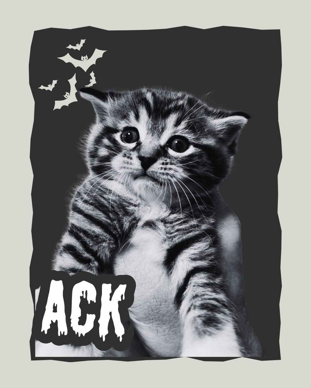 We are obsessed with these edits made by Jeepers’ foster! 😻🐈⬛👻