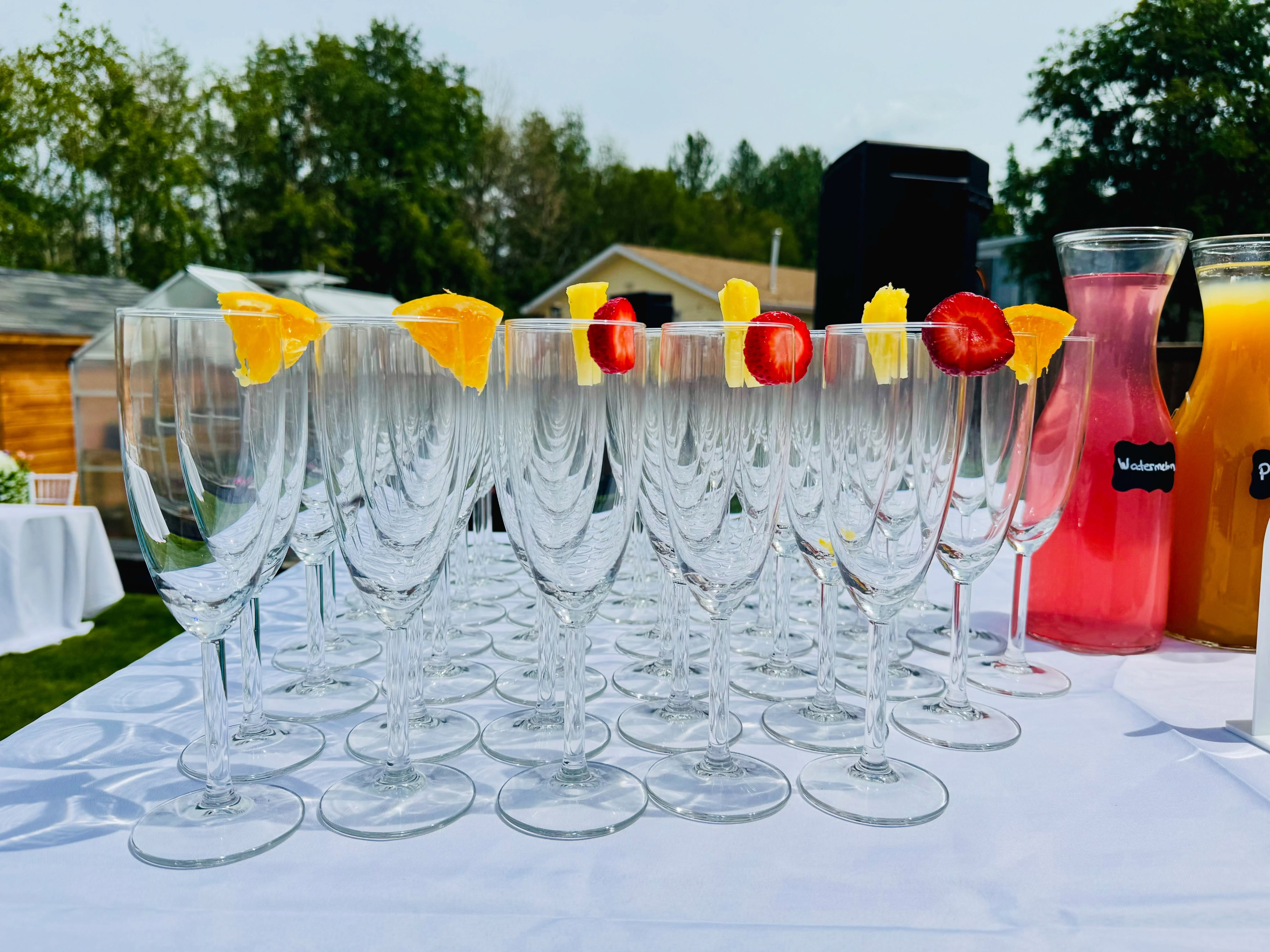 #aaamobilebartending #champangeflutes #mimosabar #fyp π₯π₯π₯πππ