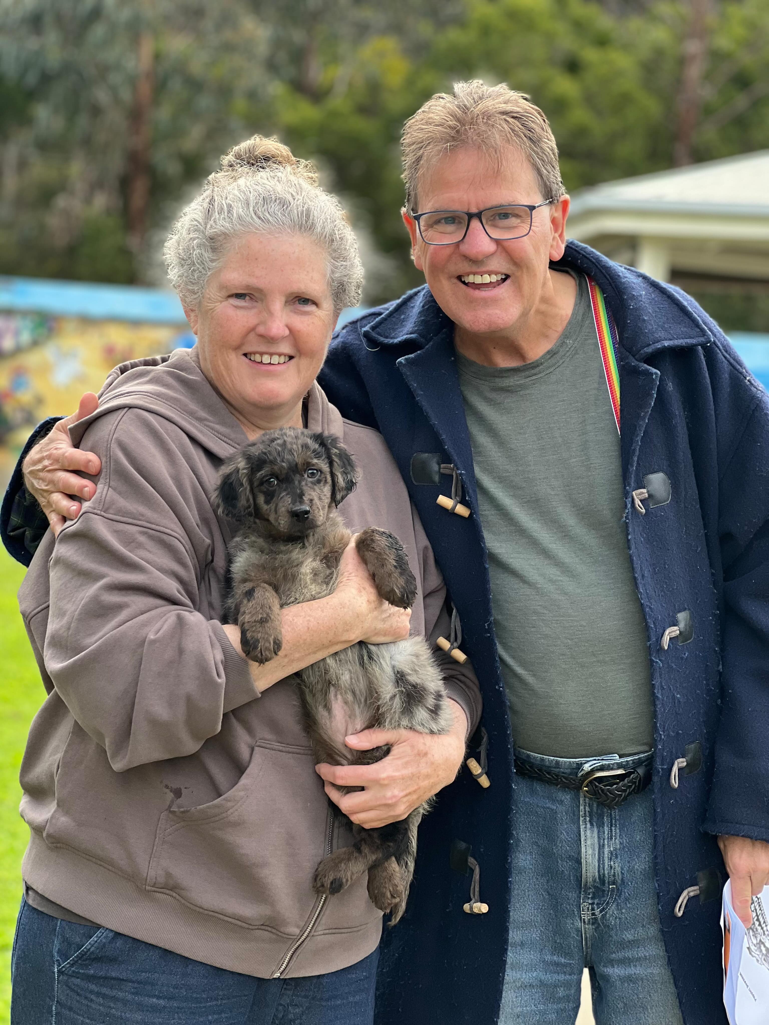 A new chapter of love begins, Elizabeth welcomes her baby AussieGroodle into the family 🐾💛
This fluffy little star is already bringing joy, cuddles, and endless smiles, making every day brighter.
Source: BR100575.
#AussieGroodleMagic #FamilyJoy #FluffyLove #BR100575 #puppiesdownunder