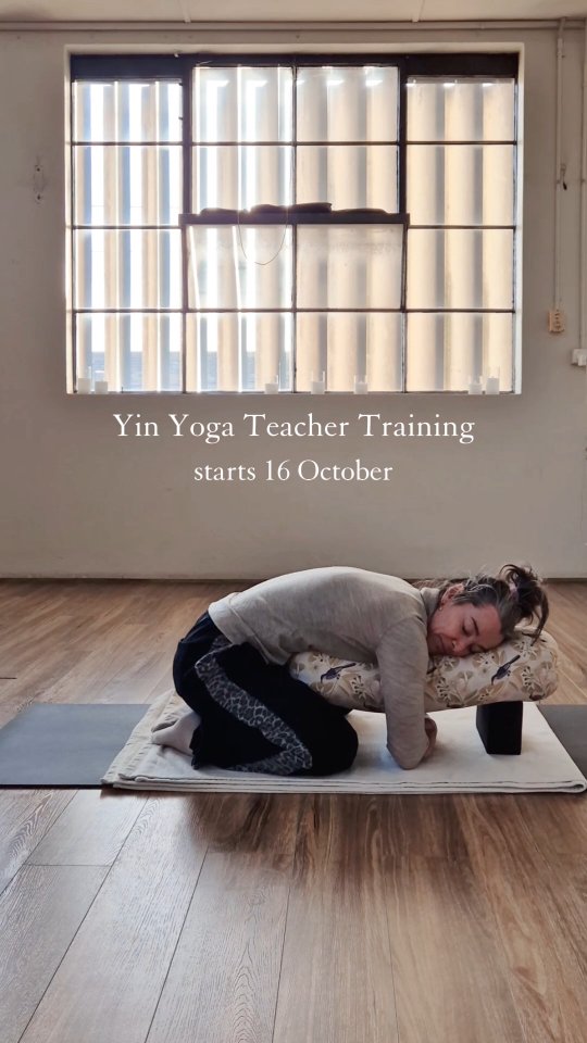 The next intake of our 50 hour Yin Yoga Teacher Training starts October 16.
This women-centred training is for teachers looking to expand their knowledge and offerings, as well as enthusiastic Yin Yoga students keen to immerse in the practice and understand the teachings on a deeper level.
This training will be spaced over two 3-day weekends at our Brunswick studio with @kathypeterson.yoga 🩷
16-18 & 23-25 October
Spaces are limited.
To secure your spot, visit evestudio.com.au