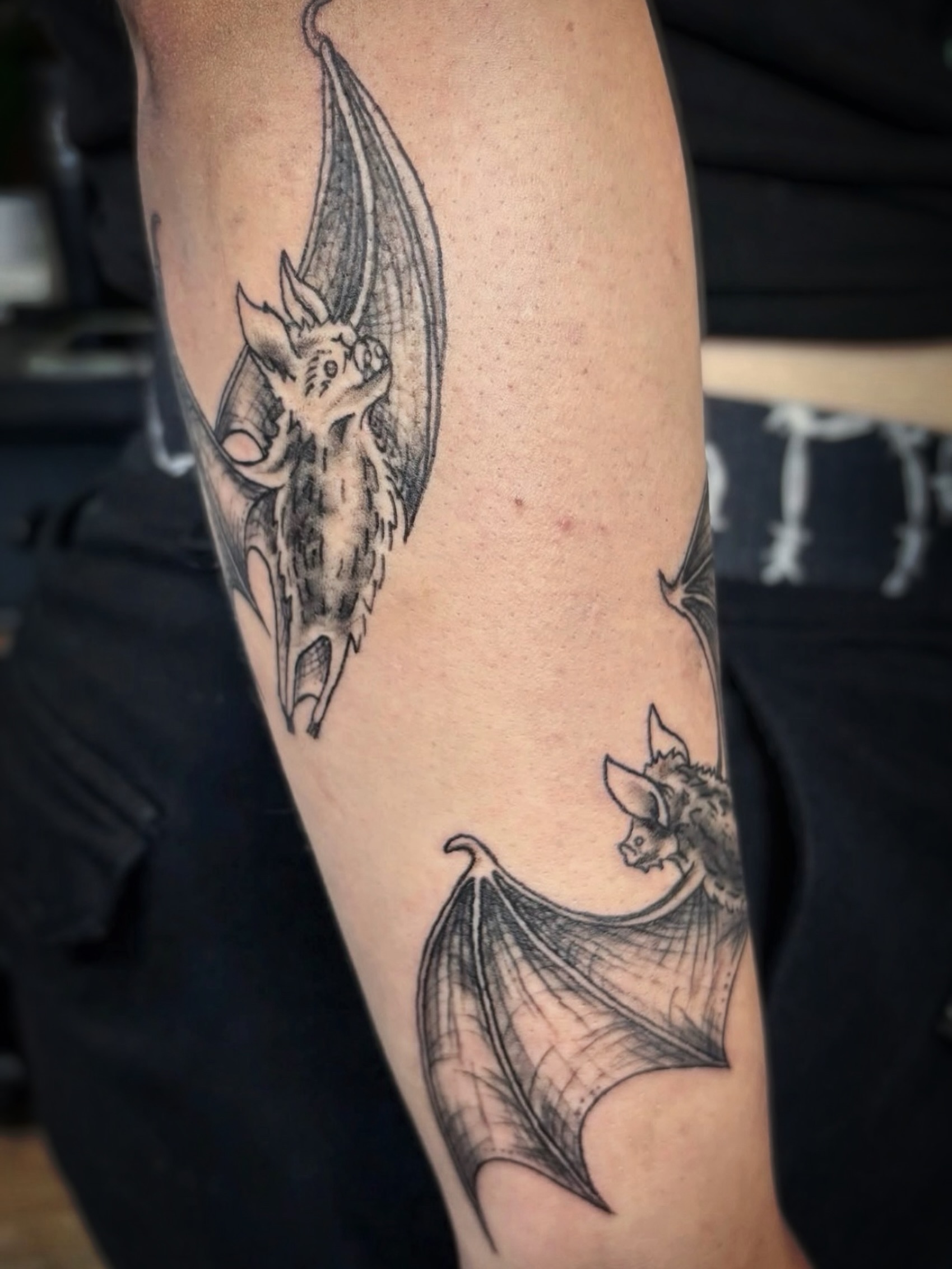𝑩𝒂𝒕 𝒔𝒉𝒊𝒕 𝒄𝒓𝒂𝒛𝒚 🦇
The cutest bat fine line tattoos by Samantha at Modern Rose in Shelton, CT🥀
#SheltonCTTattoo #ConnecticutTattooArtist #CTTattoo #battattoo #ModernRoseCT