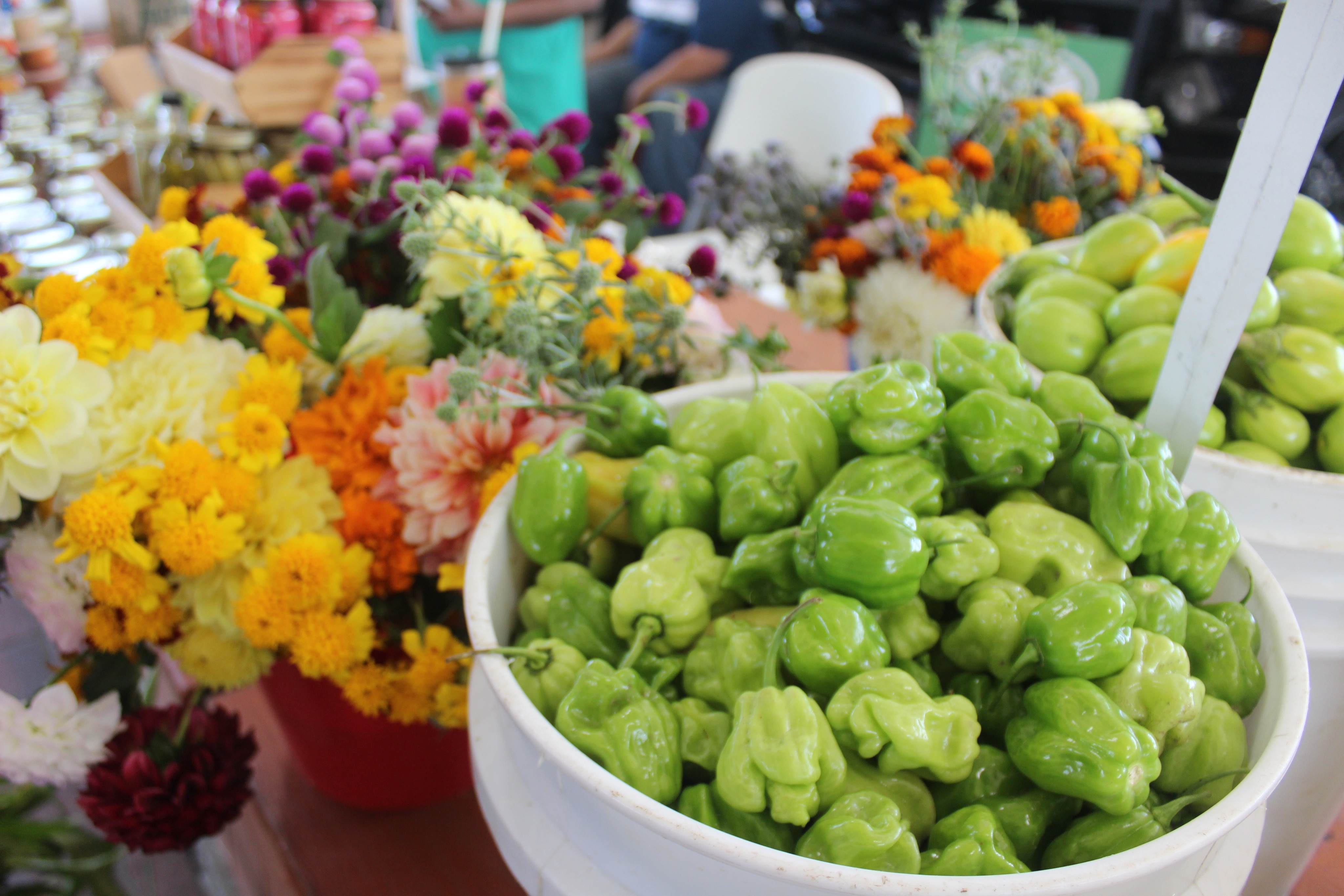 What foods make a market feel like ~your~ market? What are the fresh ingredients that you rely on to make special dishes that taste like home?
On September 12, we joined growers, shoppers, and neighbors at @fondymarkets Fondy Farmers Market to talk about the crops and dishes that nourish our communities. We asked what people love to grow and cook, which ingredients they can find locally, and what they wish were easier to get.
These conversations help us understand how growers and shoppers can better support one another. Thank you to everyone who shared a food story, a question, or an idea, to Fondy Farmers Market for gathering us around the foods that connect us, and to Chef Jenny for the incredible HMoob cooking lesson!