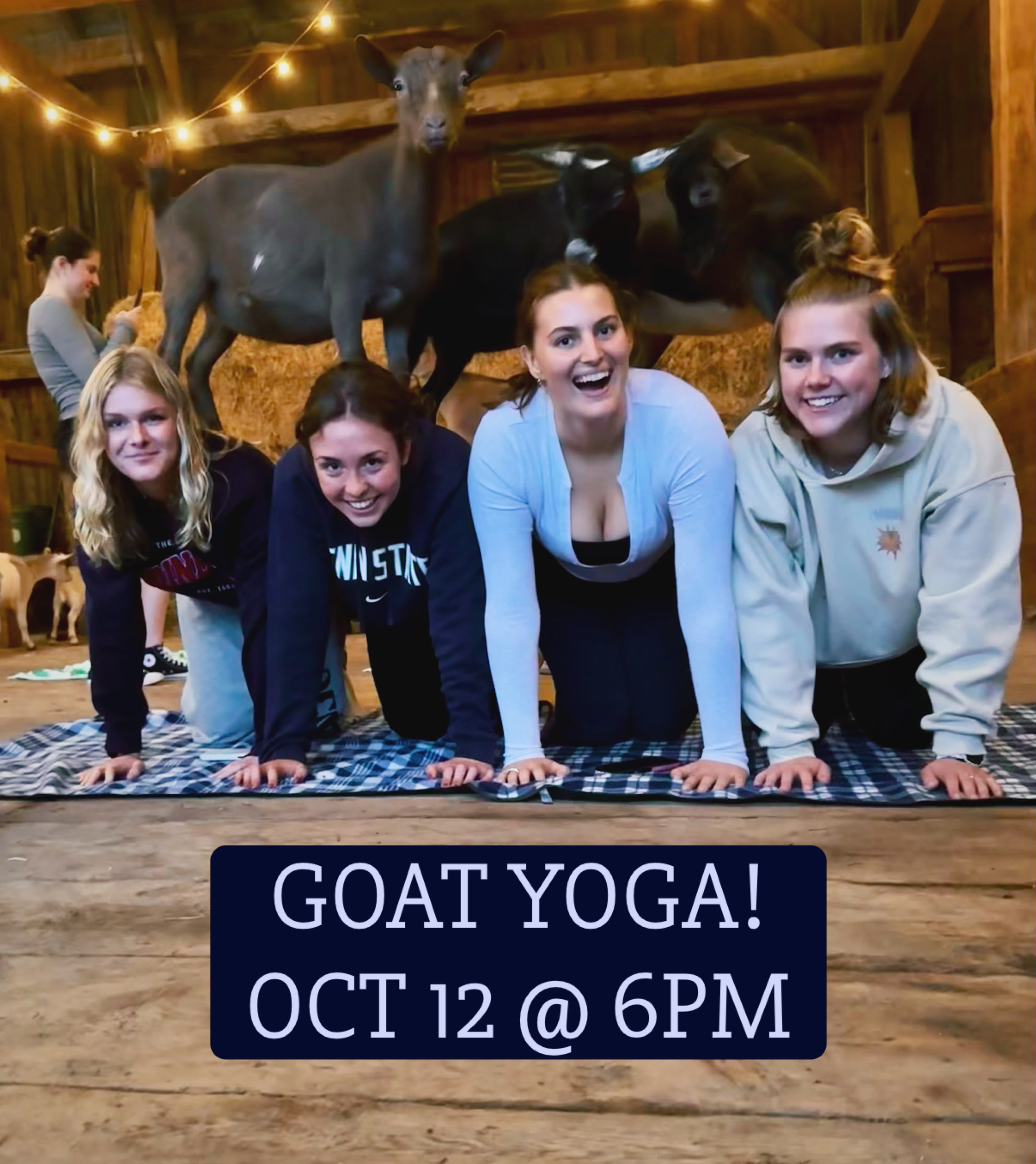 Nothing but good vibes and goat love!
๐๏ธ Oct 12, 2026 at 6 pm
๐ฒ $15 per person
๐งโโ๏ธ 40 spots available
๐ Nittany Meadow Farm, Boalsburg (near PSU)
โ๏ธ Ages 18+
๐๏ธ bit.ly/NMF-goat-yoga
#goatyoga #goga #psu #pennstate #happyvalley