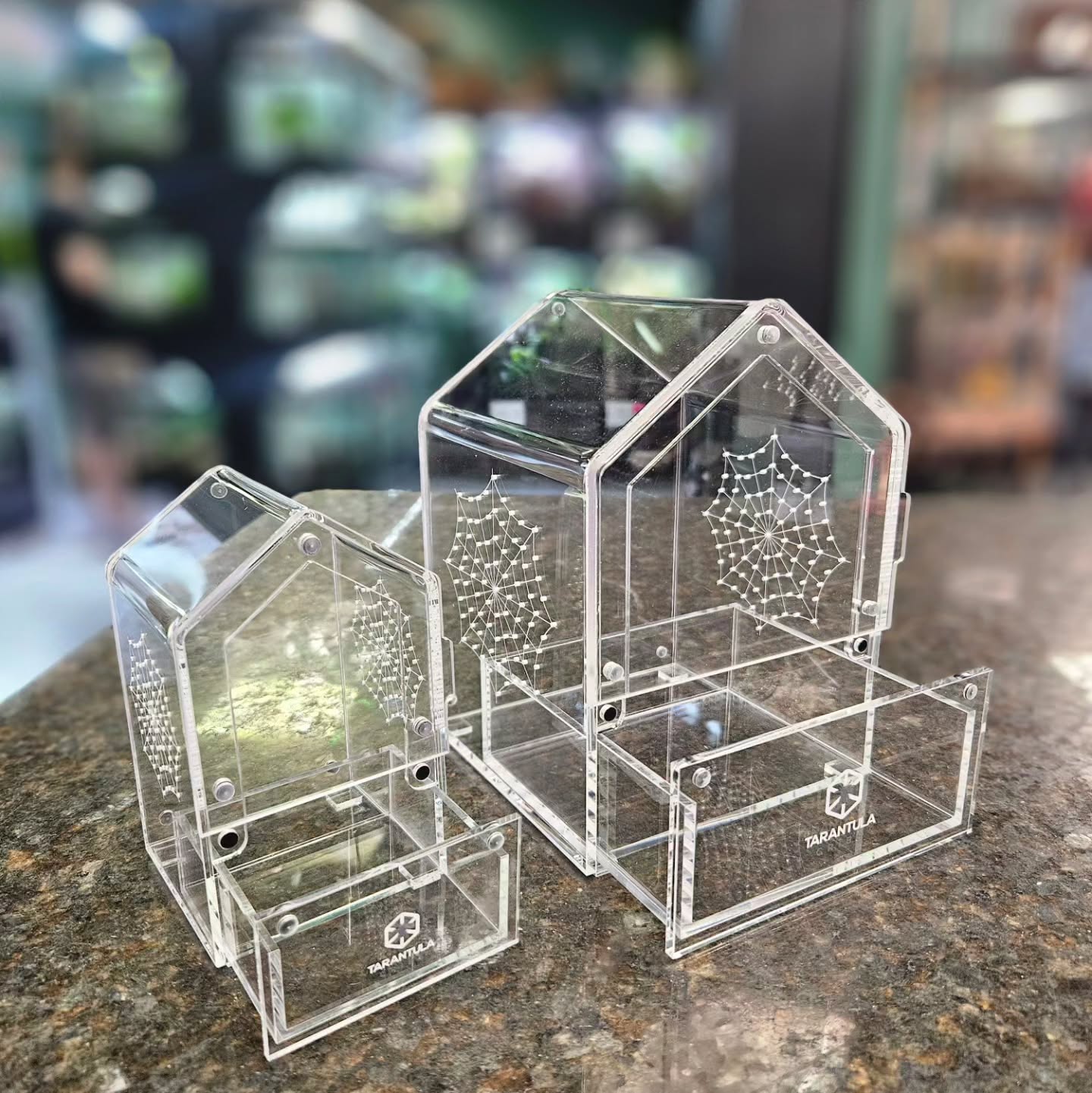 New jumping spider slid out canopy enclosures now at dfw reptarium
#dfwreptarium #dfwreptiles #reptileshop #petshop #dallastexas