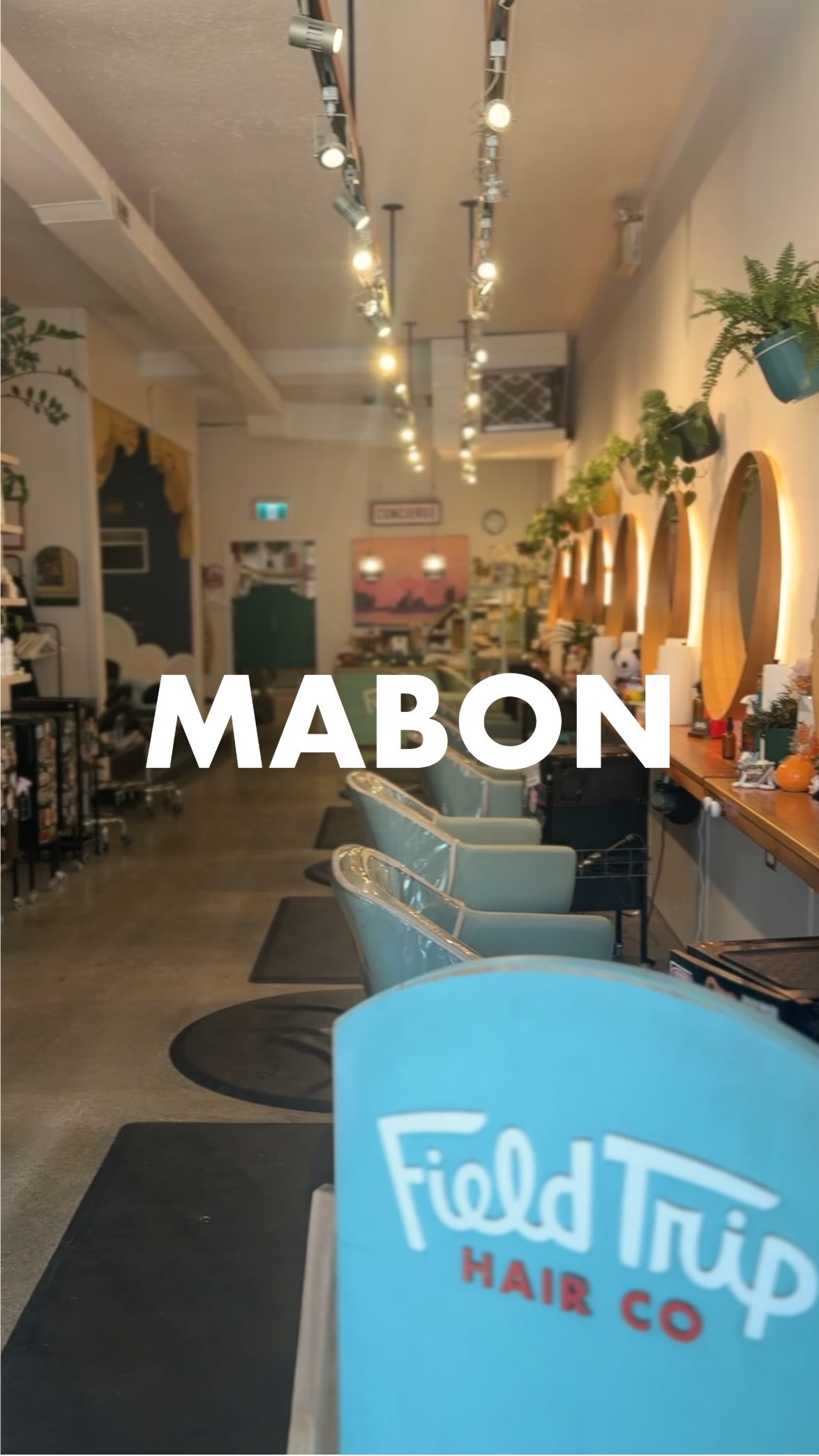 Autumn Equinox
Light and dark are perfectly even today, and then it’s officially cozy season. 🍂
We’re feeling very grateful for this little salon, our wild and wonderful team, and every one of you who sits in our chairs. 🧡
What are you grateful for this season?
🍄🍁🍂✨
#fieldtriphair #eastvanhair #autumnequinox #mabon