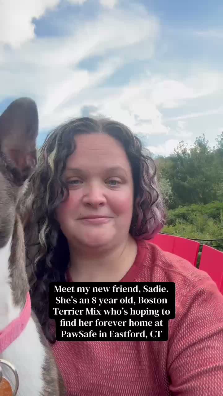 Meet her at PawSafe, 348 Old Colony Rd, Eastford CT