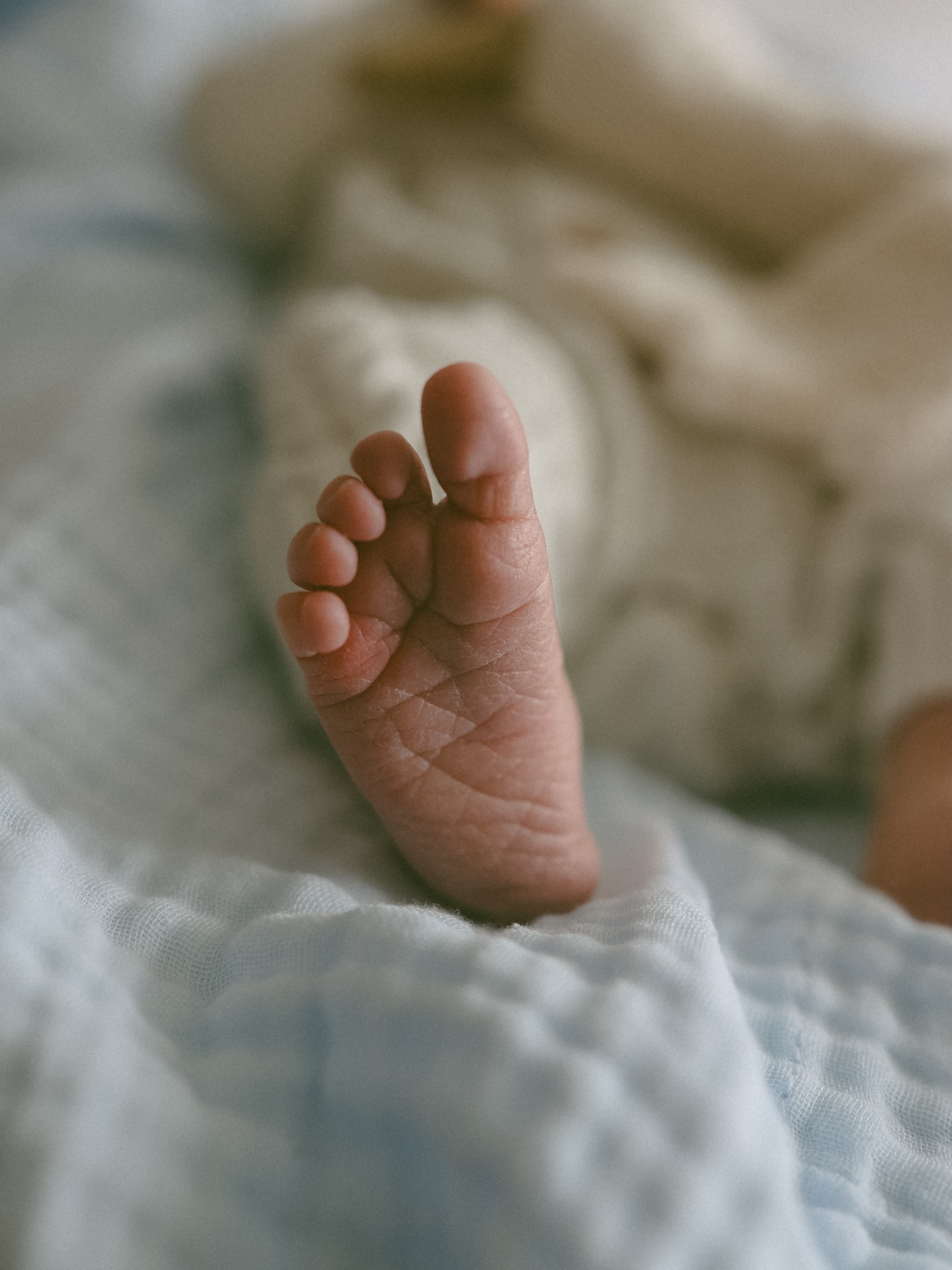 Miles Felix Flanery 🪿
Born 7:43pm 20/09/26
4.8kgs
55cm long
39cm head